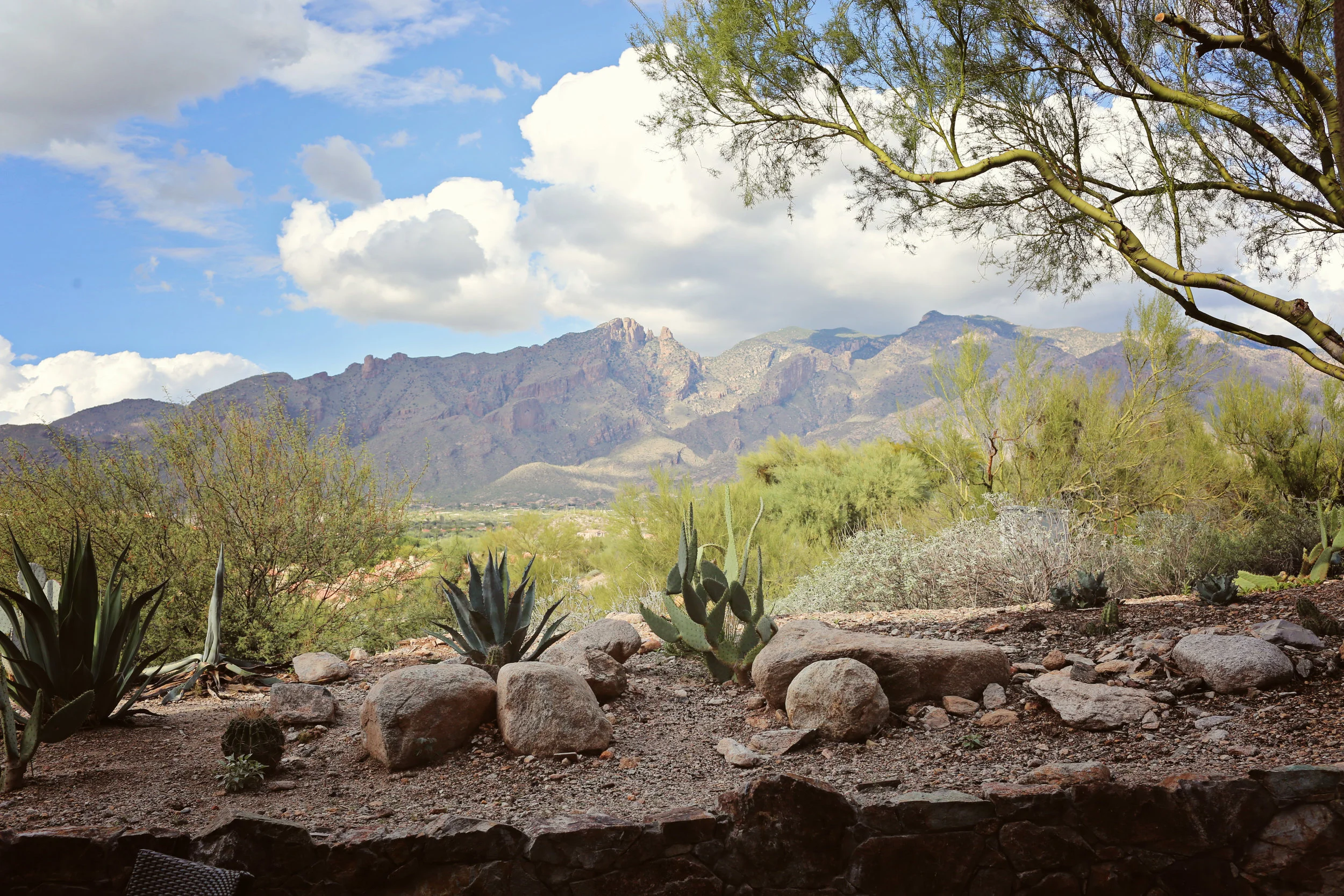 Tucson_View.jpg