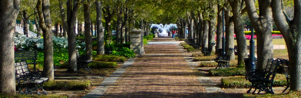 0827-1000w-03.jpg