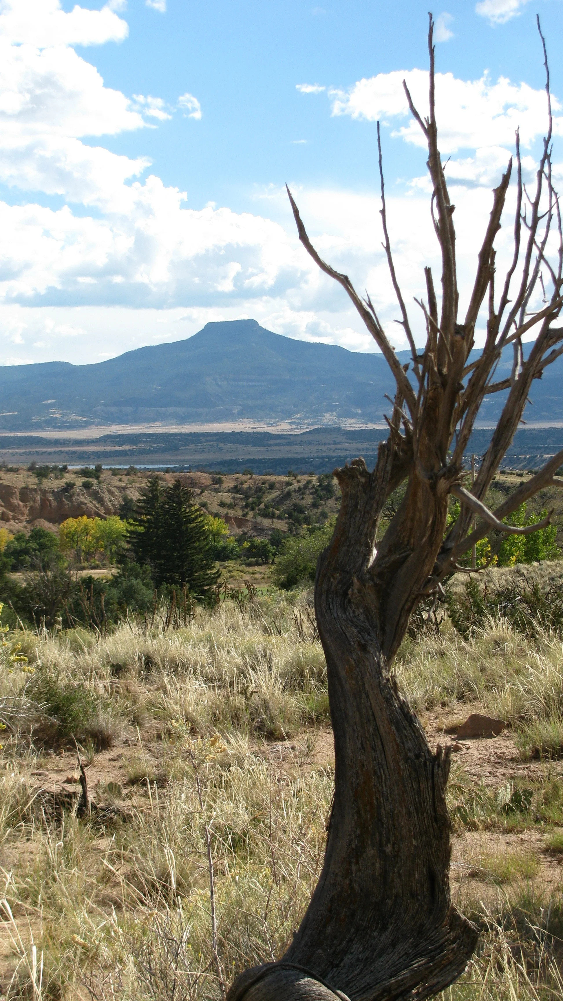 Copy of New Mexico 2010 009.jpg