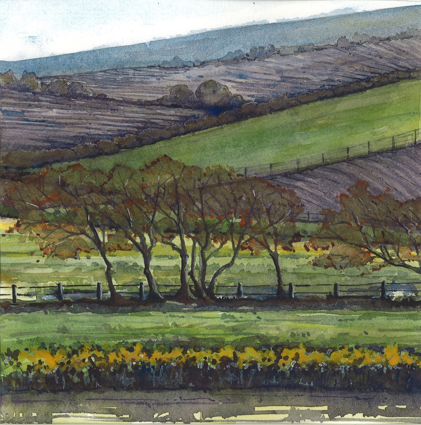 Devon in Winter