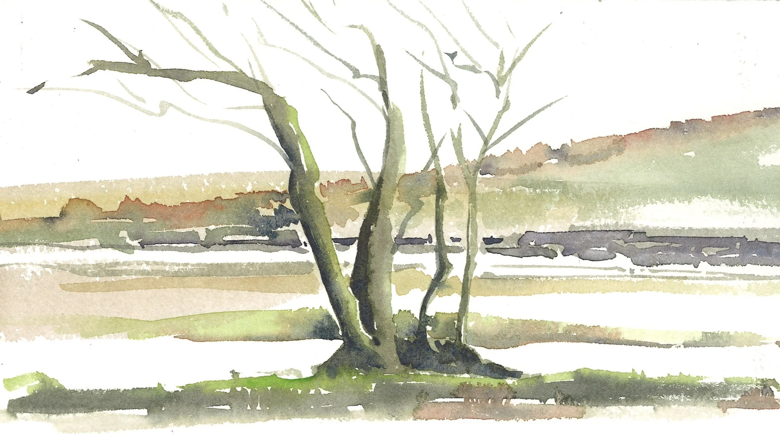 tree.jpg