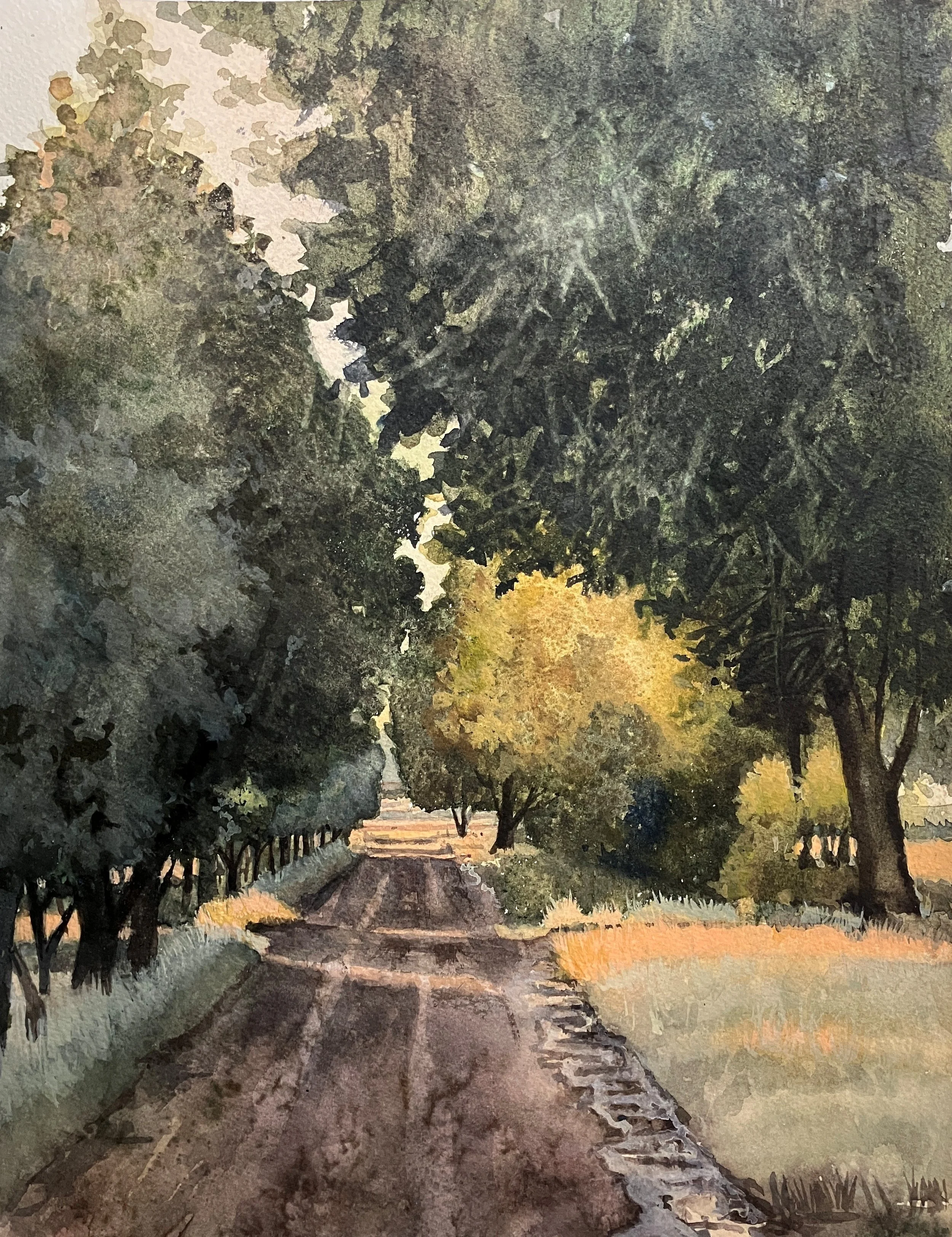 After the Rain in Rosendal