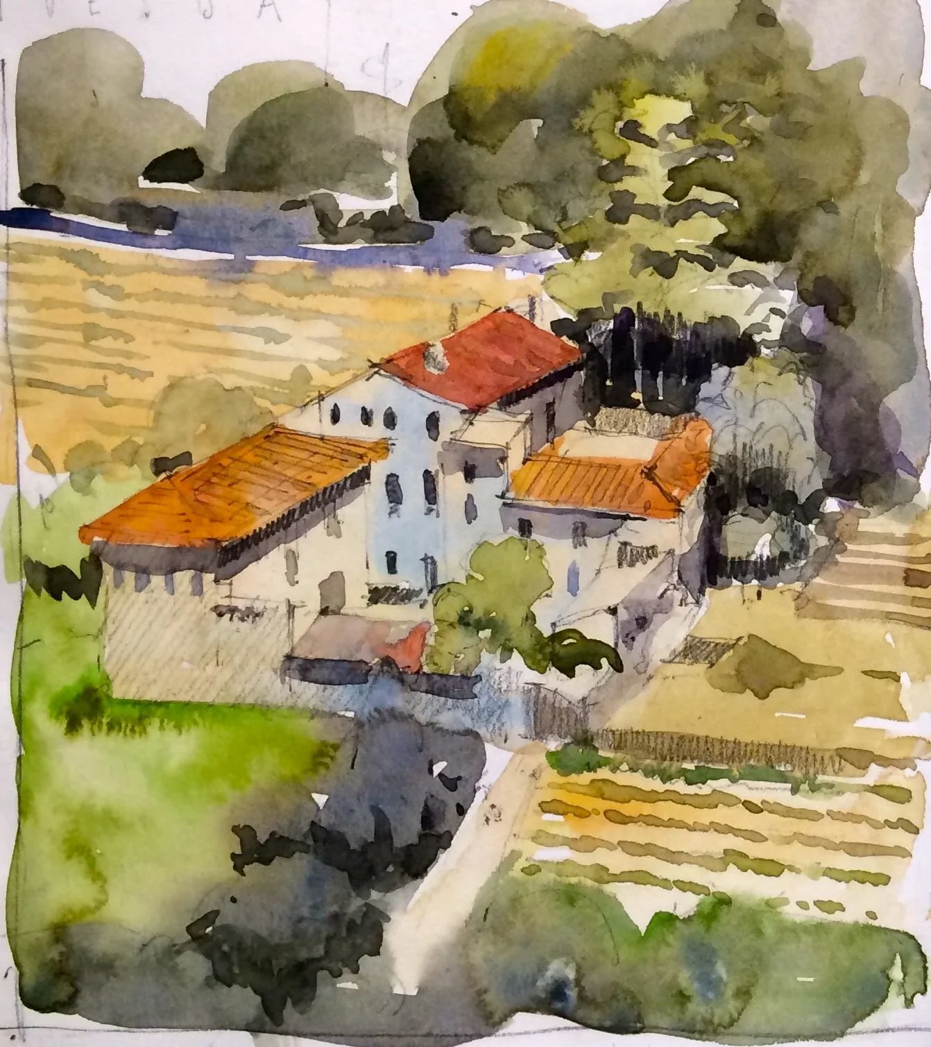 Provence Sketch.jpg