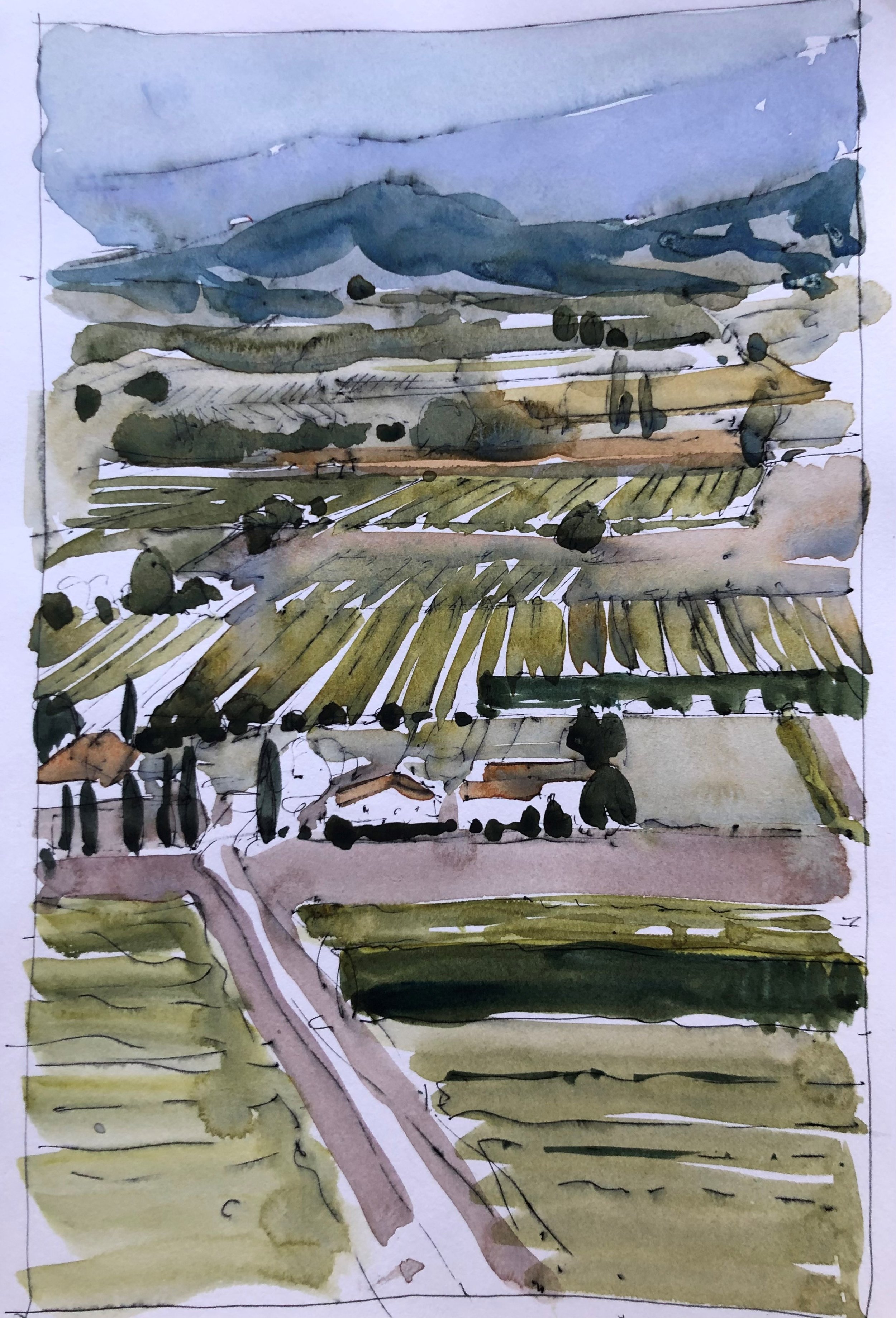 landscape sketch.jpg