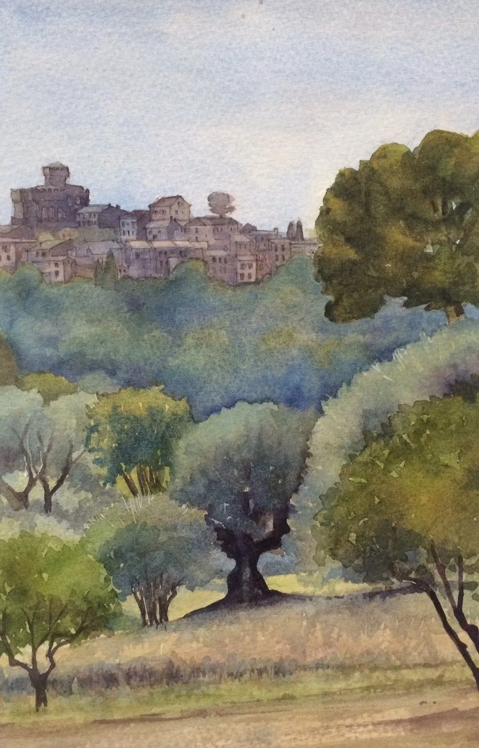Provence Renoir's Garden 1.jpg