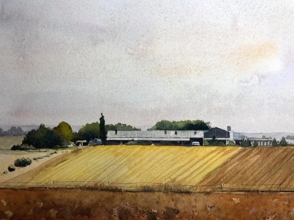 From the Steynsrus Senekal Road