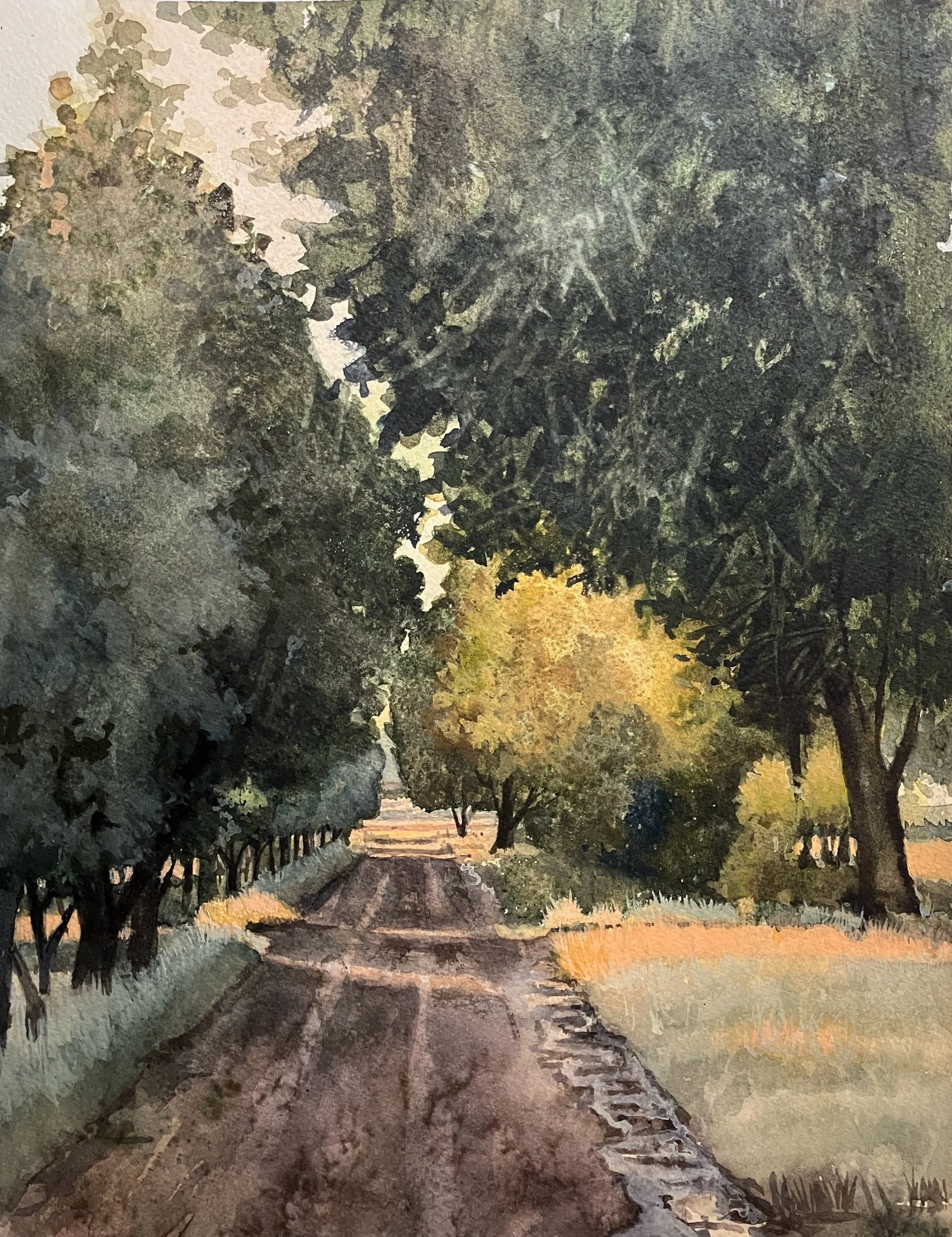 After the Rain in Rosendal