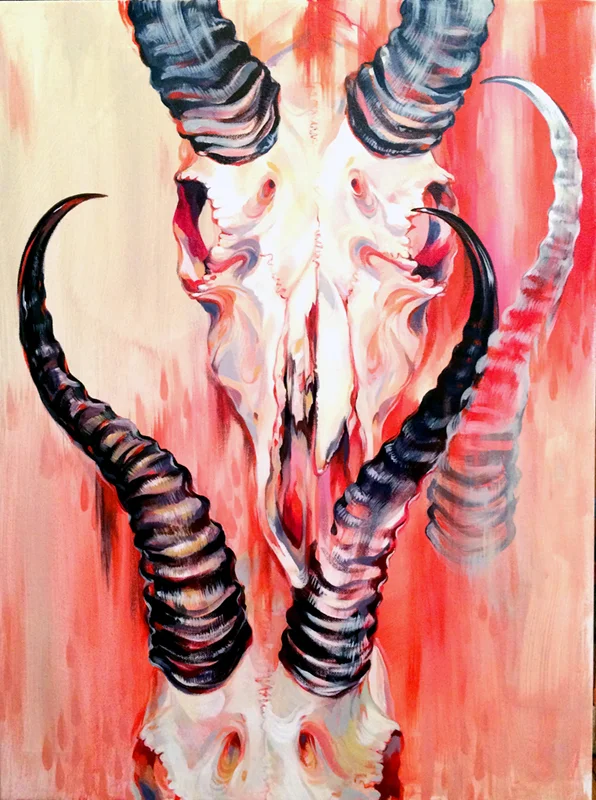 Springbok no. 1