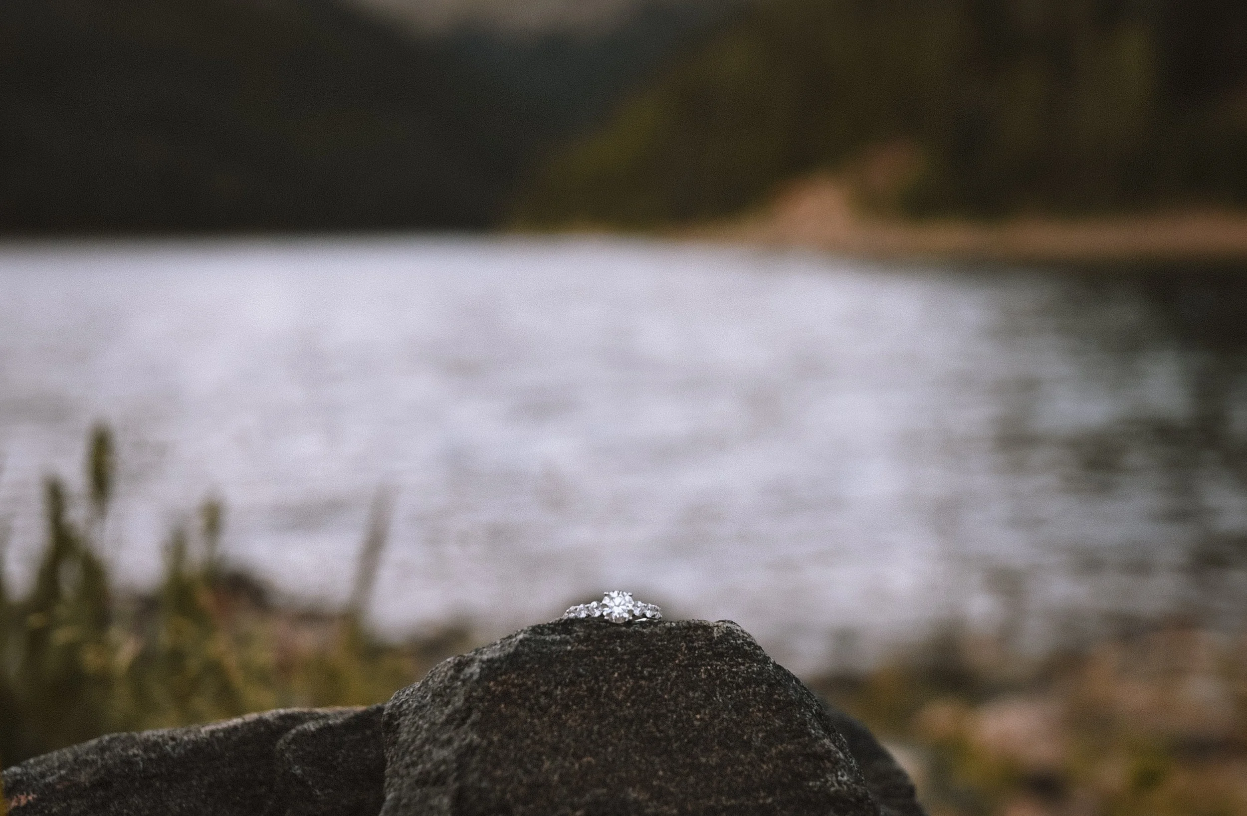 DSC_4194.jpg