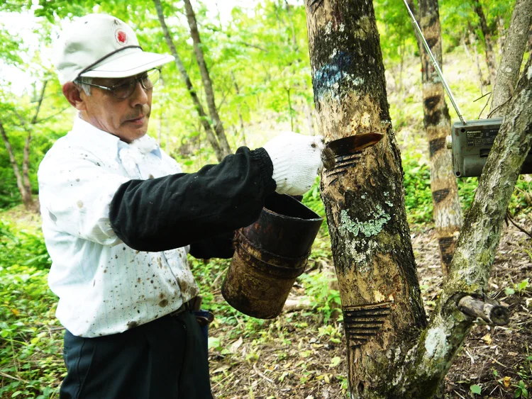   More information about Joboji Urushi&nbsp;   Facebook   Twitter     