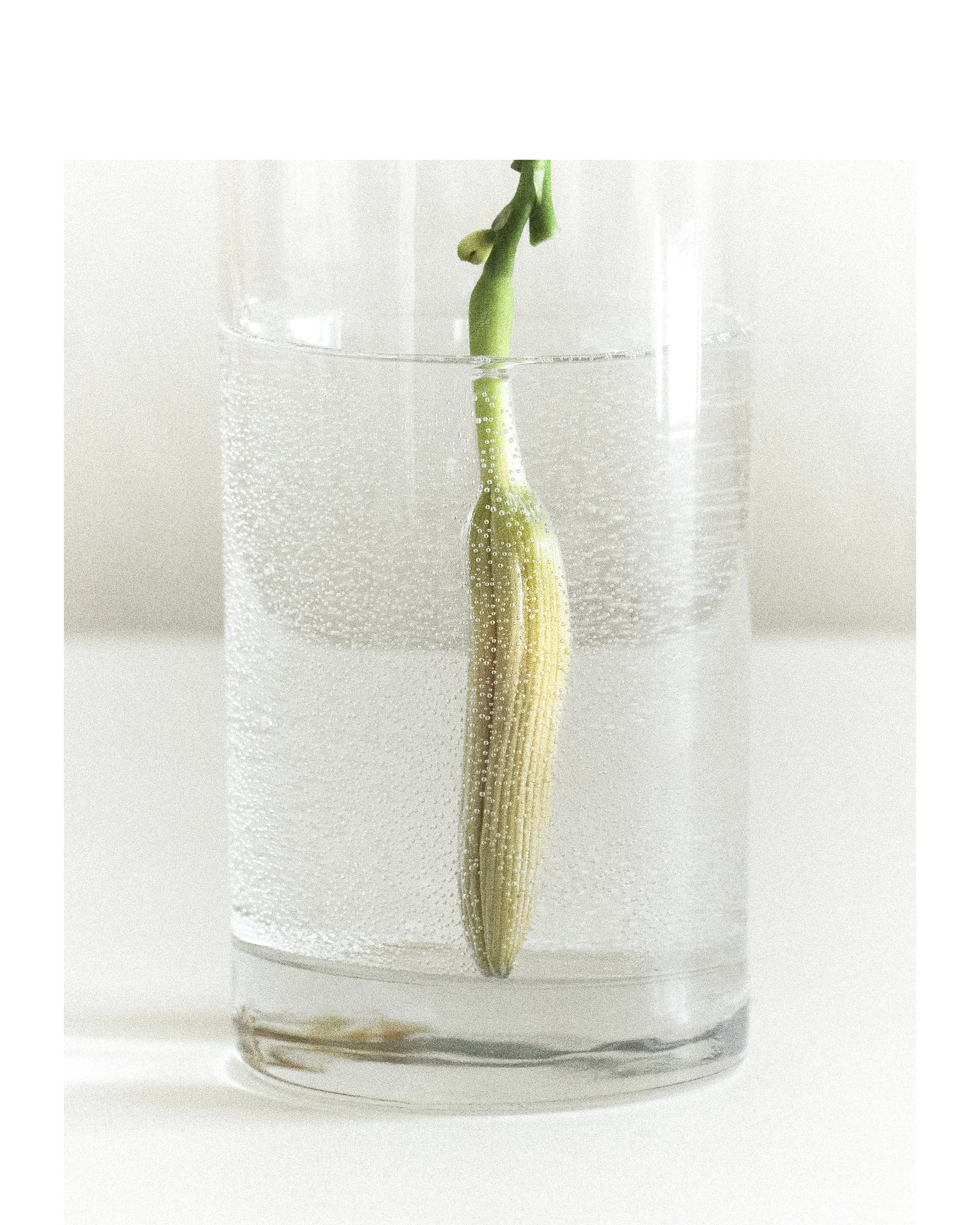 2507 USA Upstate Project 0257_II.jpg