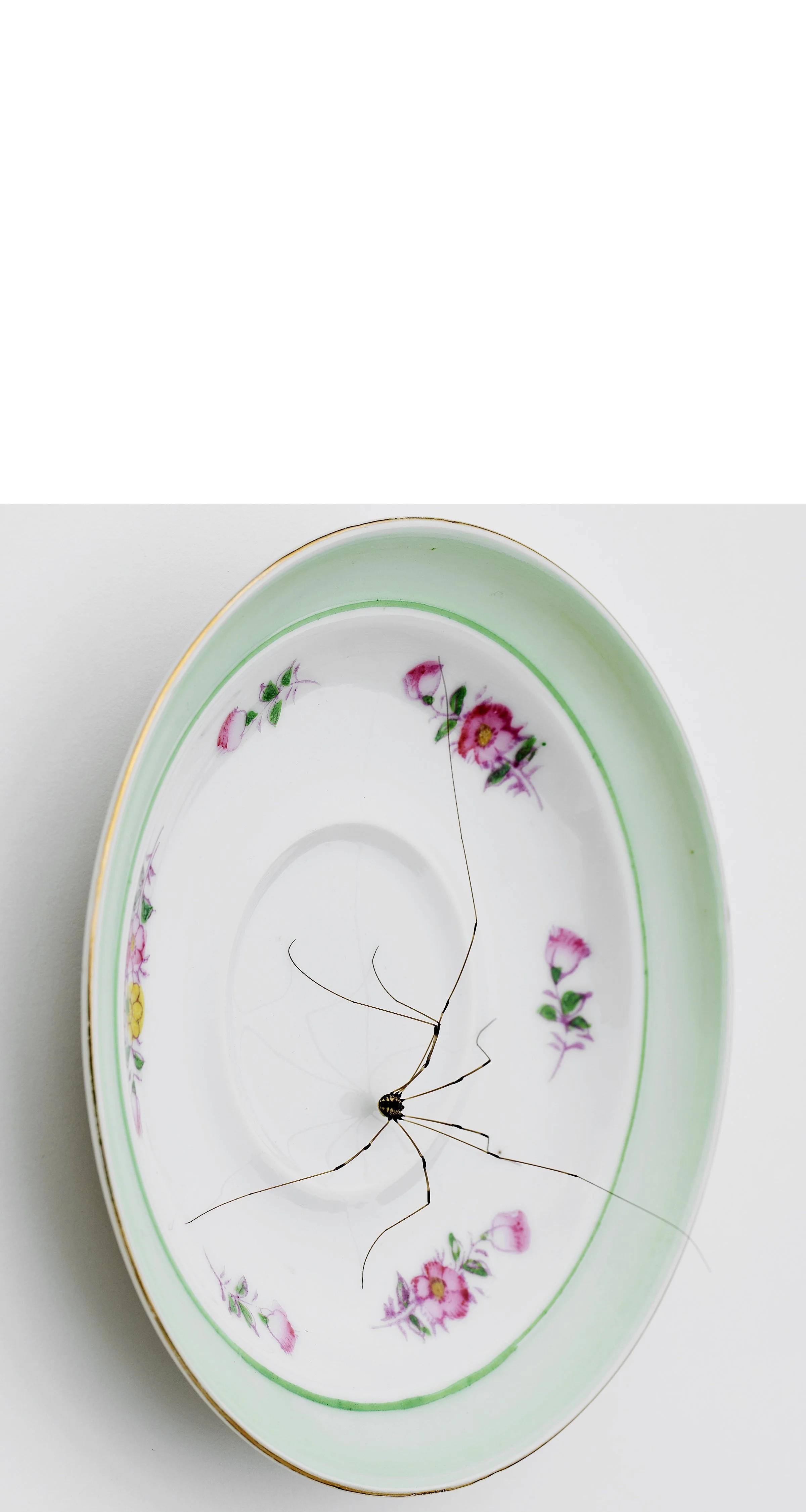 2507 USA NY Upstate Project Bovina 0499.jpg