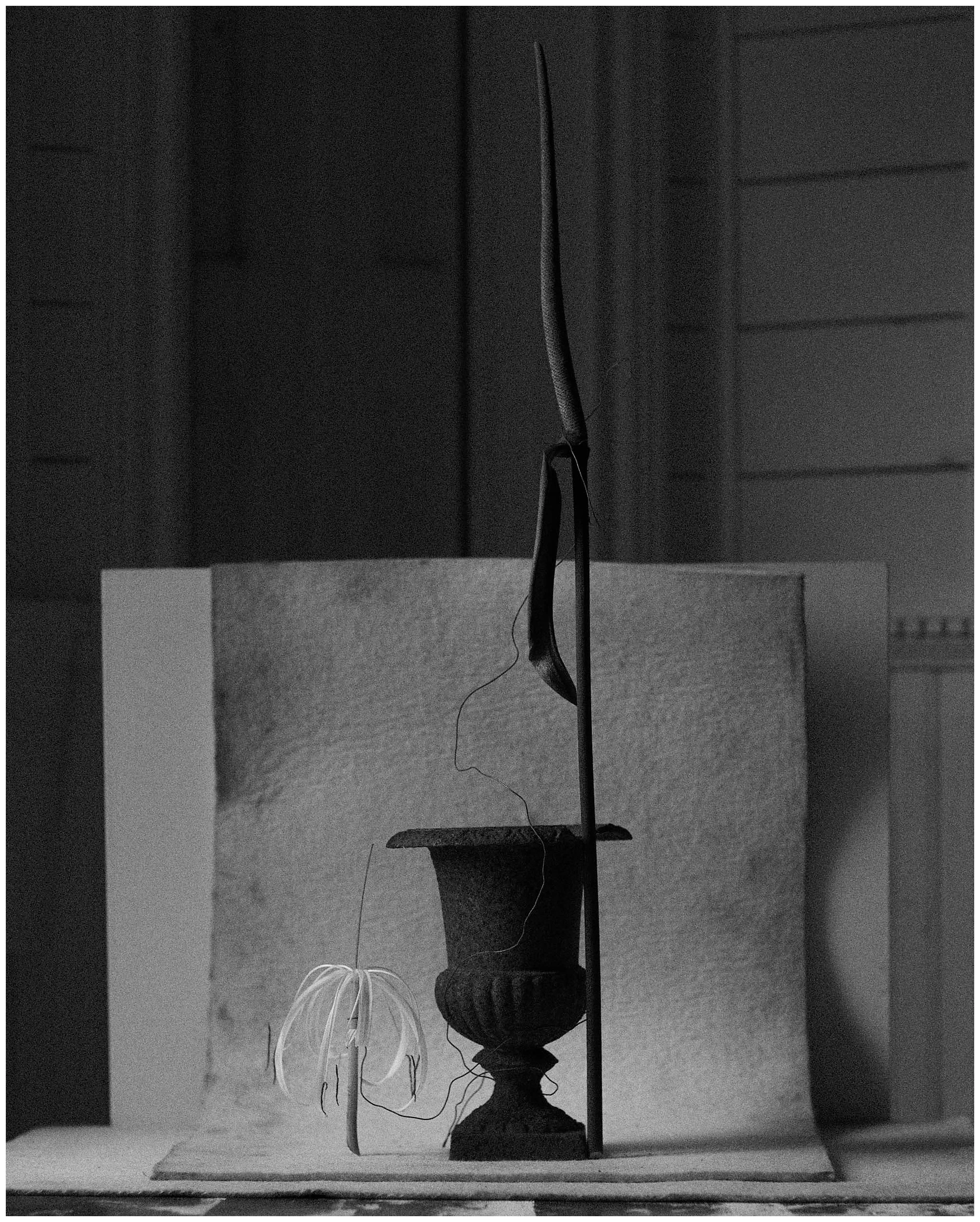 2006 USA FL The Florida Project 0583.JPG