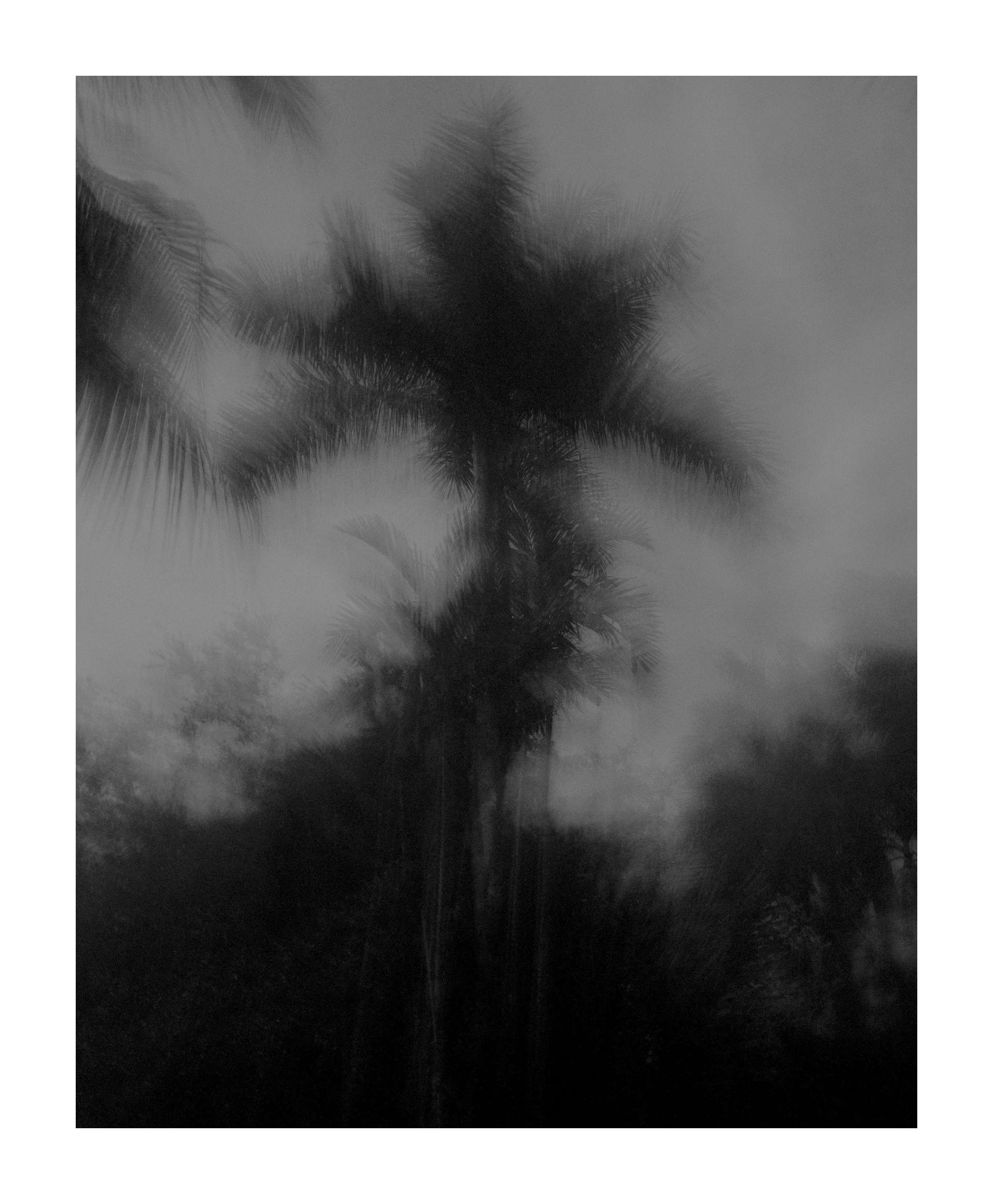 2006 USA FL The Florida Project 1994.JPG