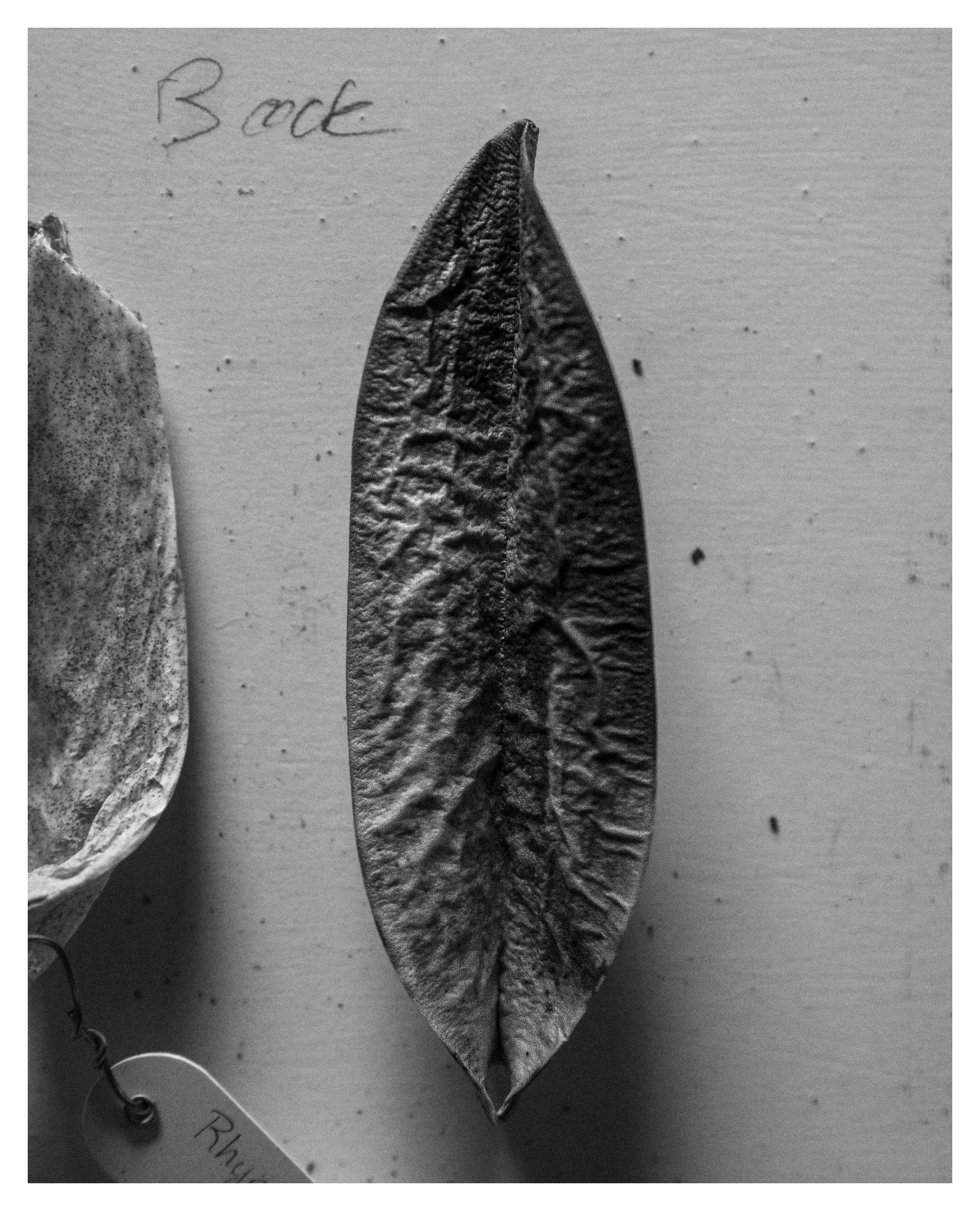 2006 USA FL The Florida Project 2194.JPG