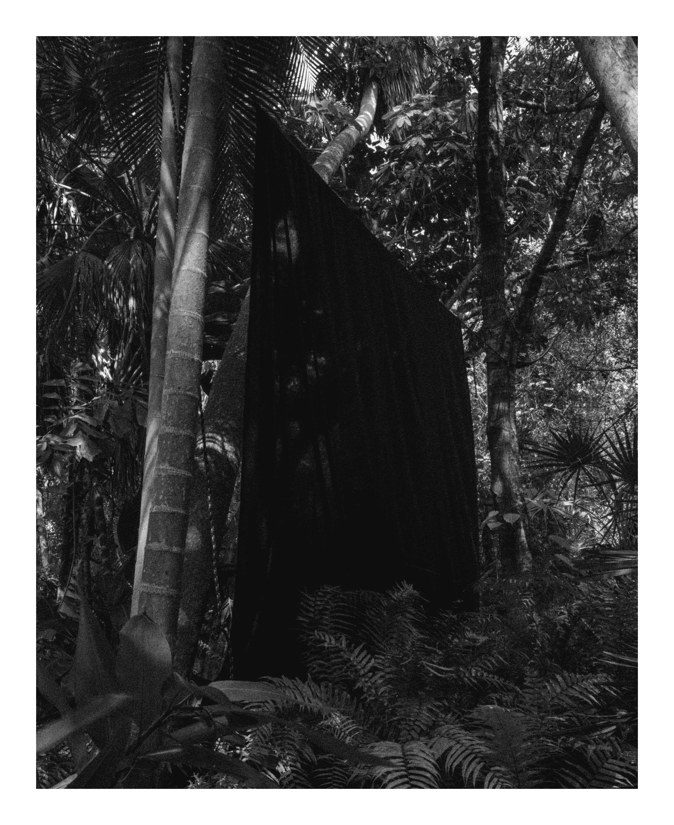 2006 USA FL The Florida Project 2914.JPG