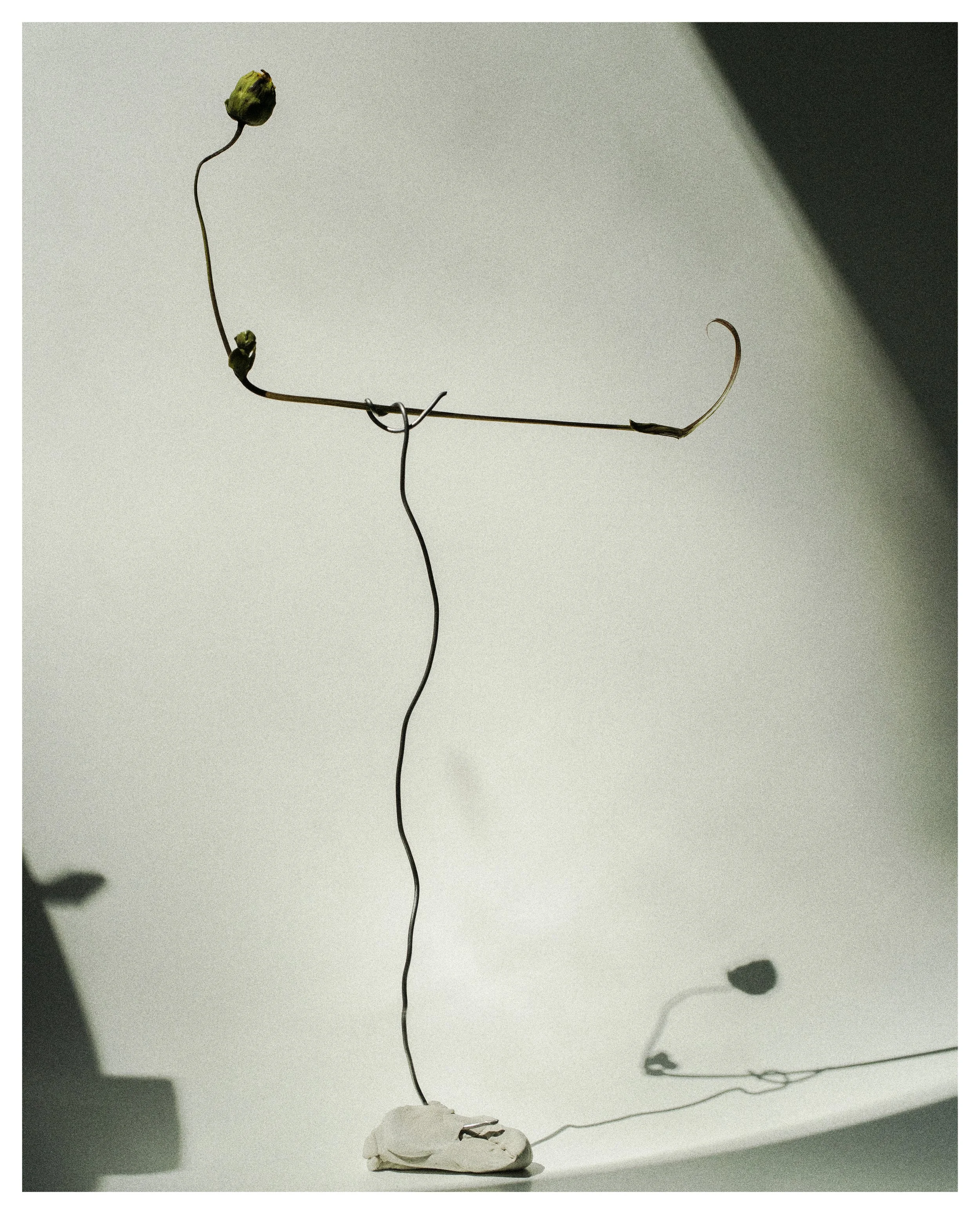 2407 USA NY Studio Still Life 0288.jpg