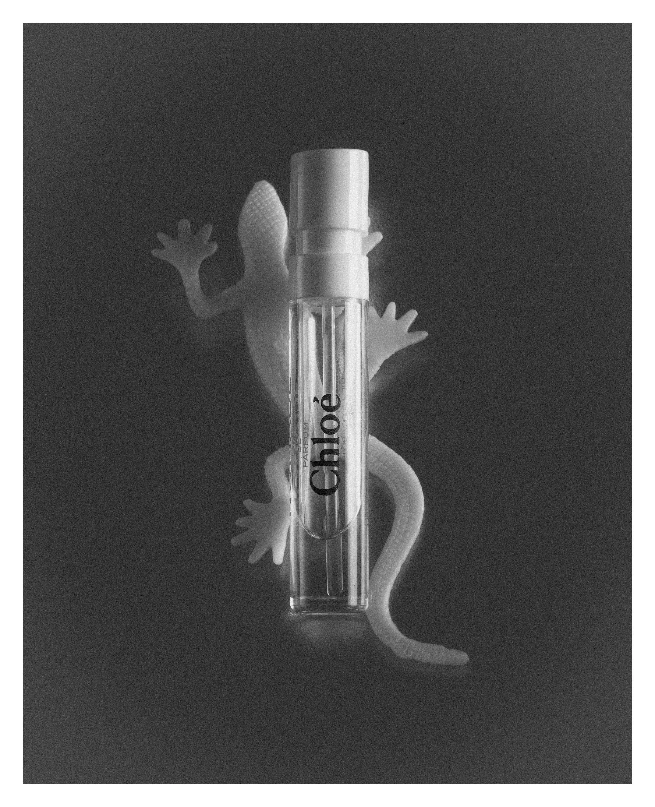 04 2500 USA NY Studio Still Life ^SEQN^.jpg