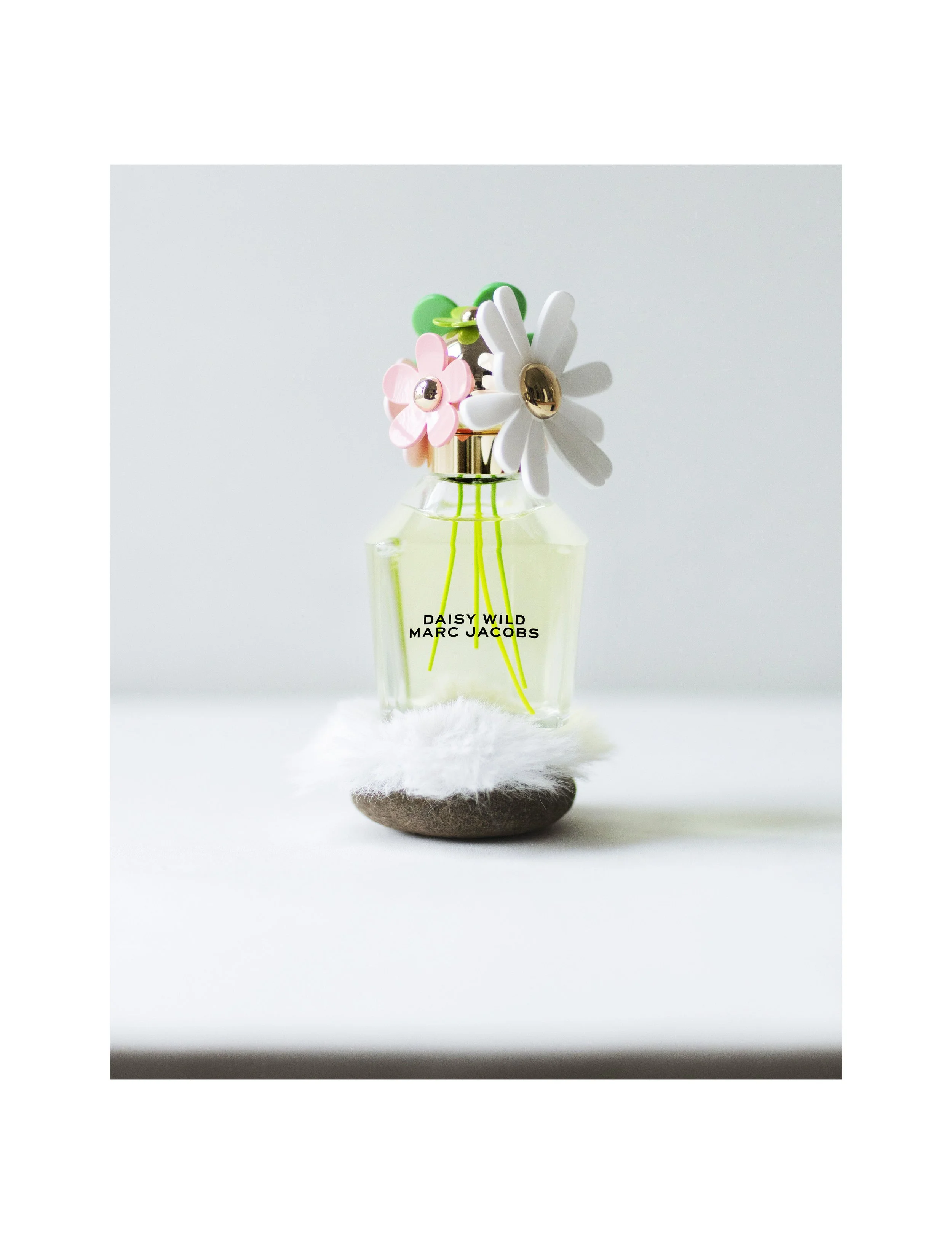 06 2500 USA NY Studio Still Life ^SEQN^.jpg