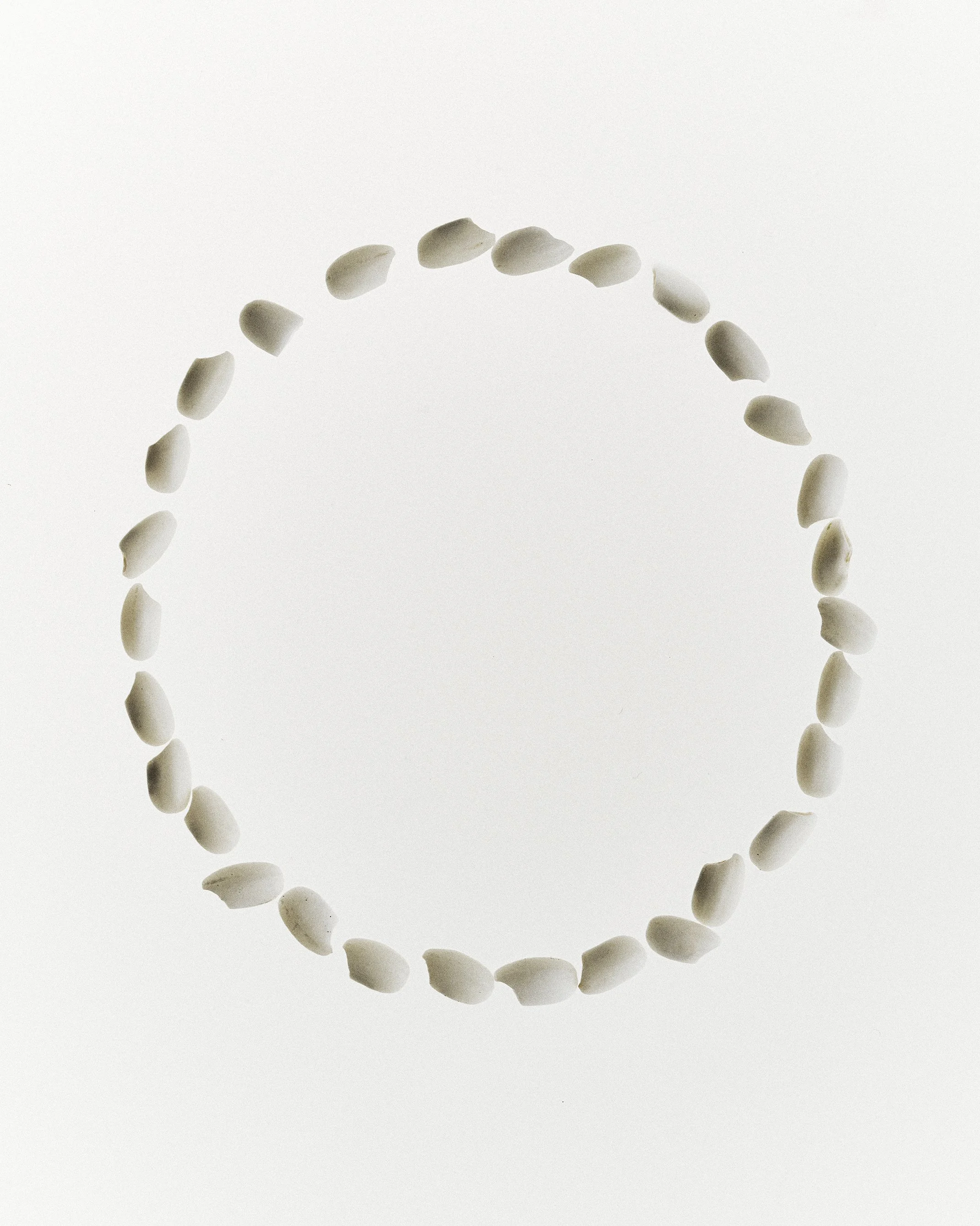 2505 USA DamDam Products 1216_II.jpg