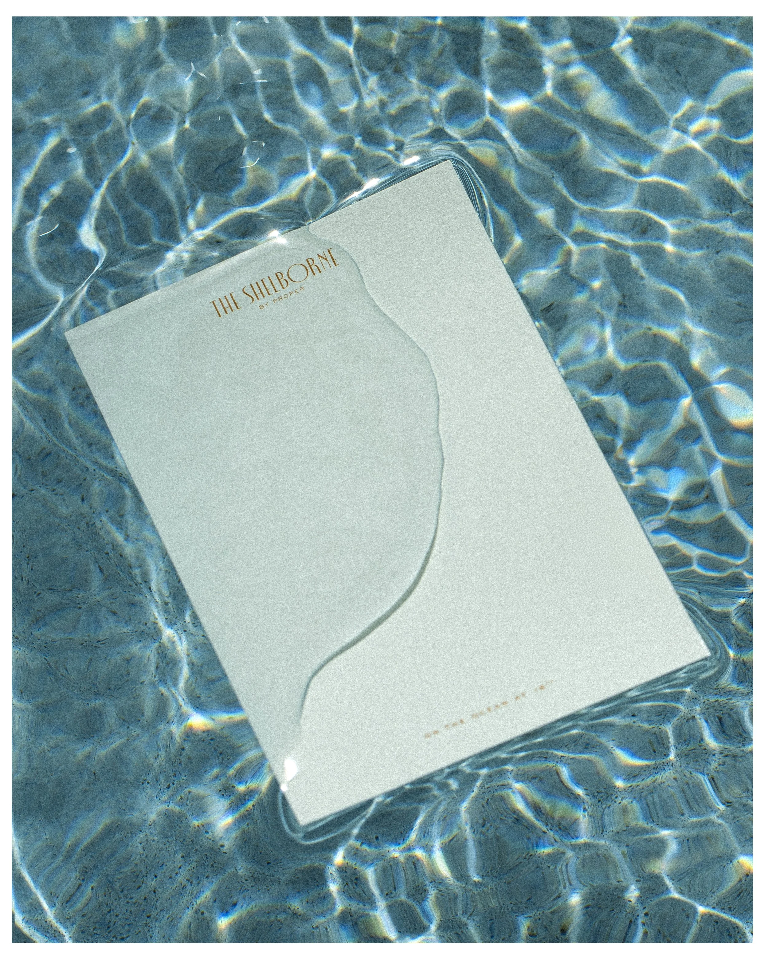 004 2511 USA NY SAVVY The Shelborne 1216.jpg