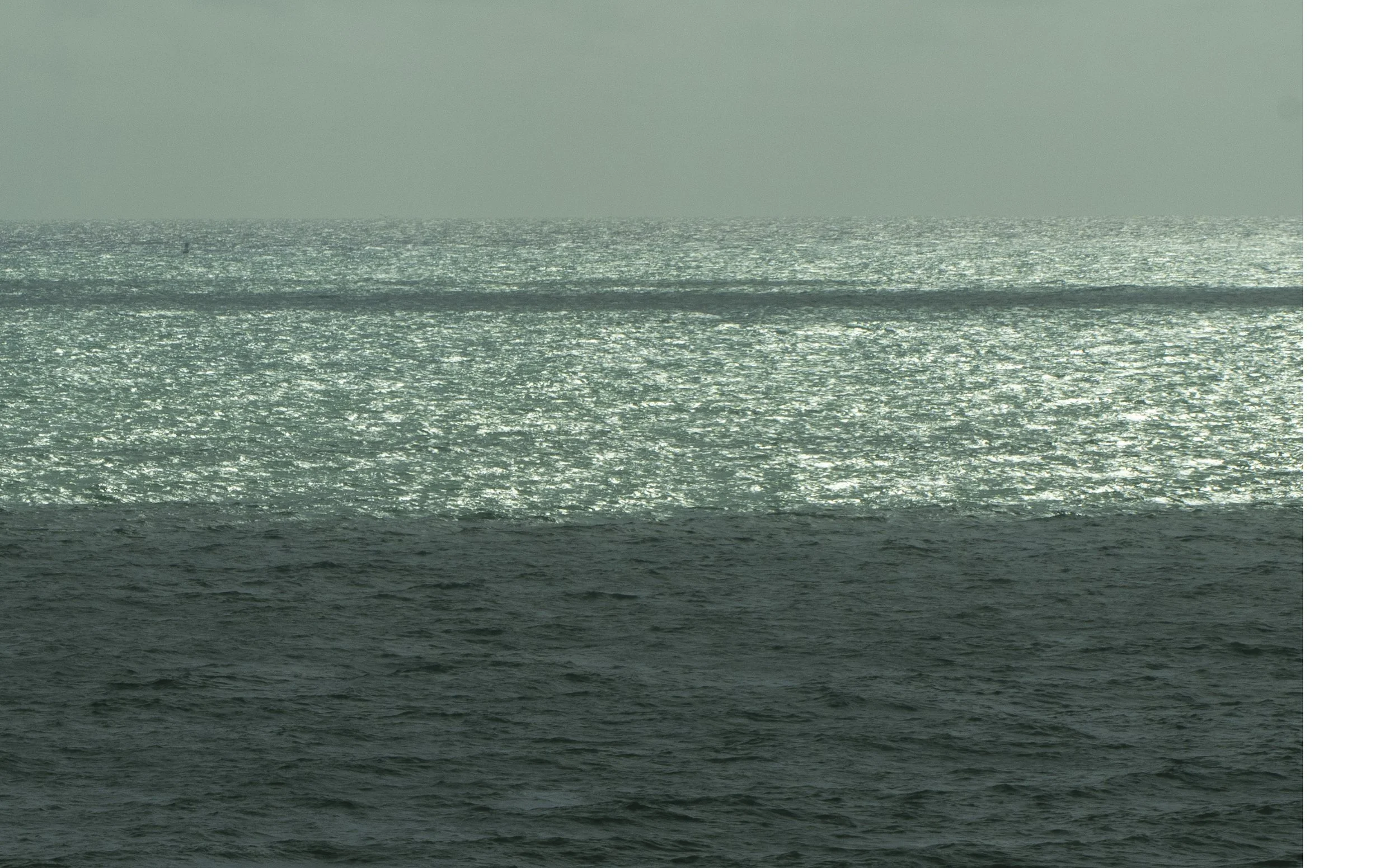 009 007 2511 USA NY SAVVY The Shelborne 0905.JPG