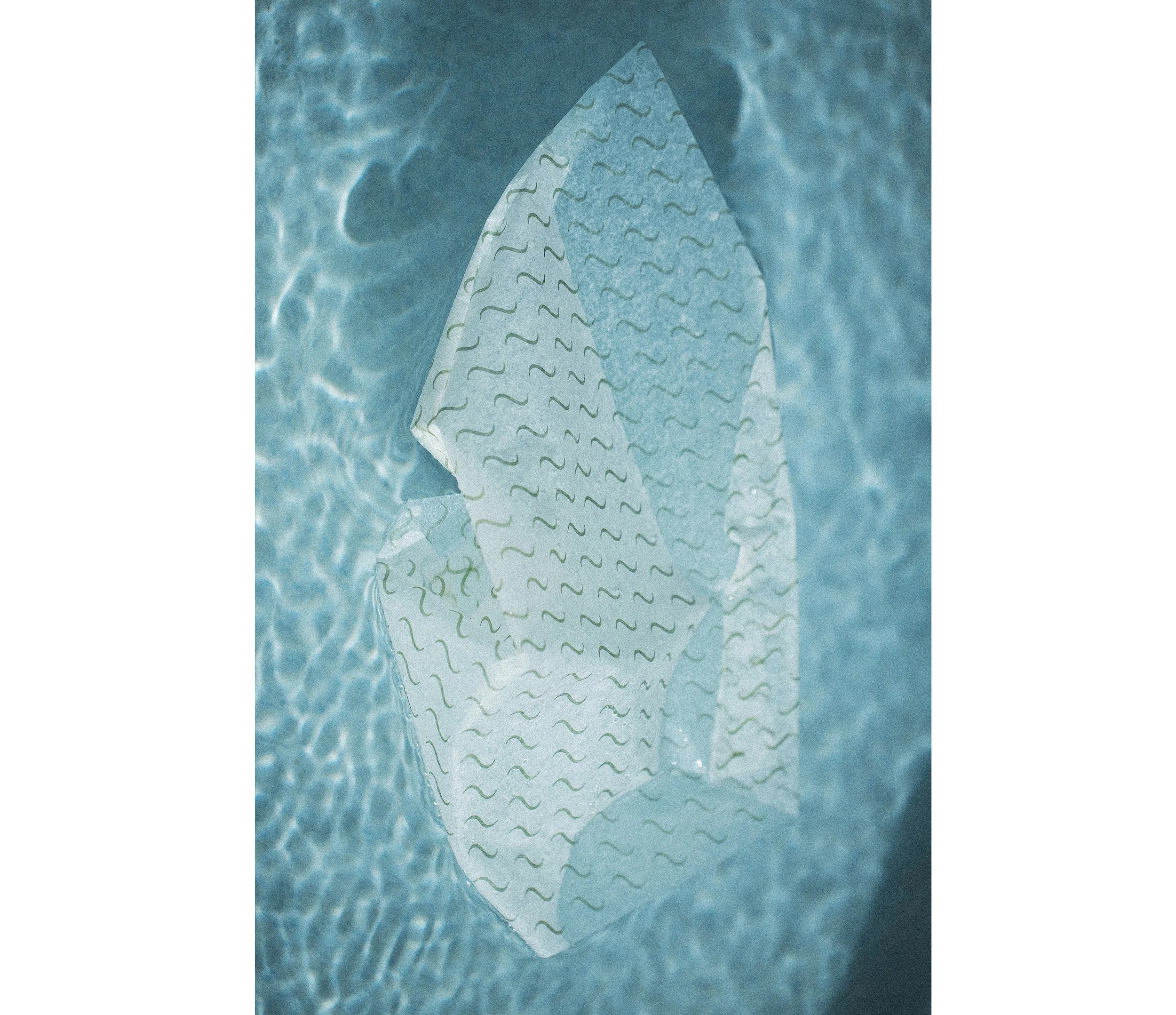 014 2511 USA NY SAVVY The Shelborne 1330.jpg