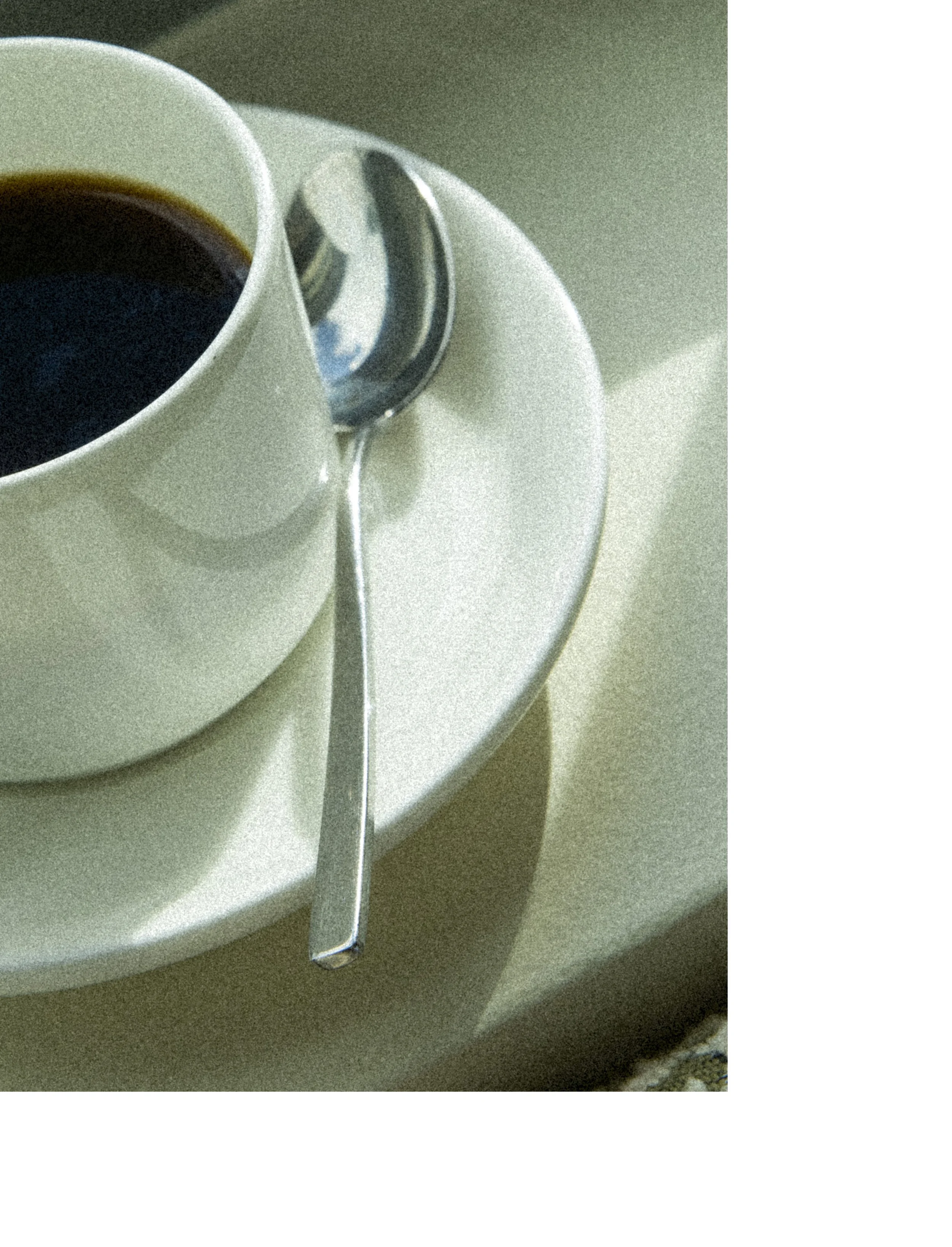 018 2511 USA NY SAVVY The Shelborne 0701.JPG