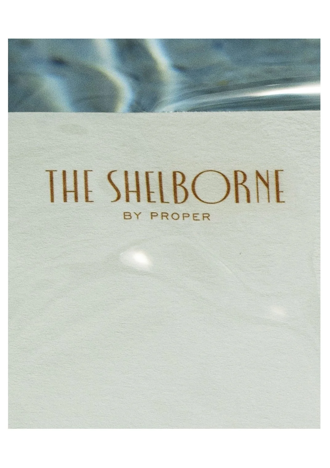 023 2511 USA NY SAVVY The Shelborne 1220_II.jpg