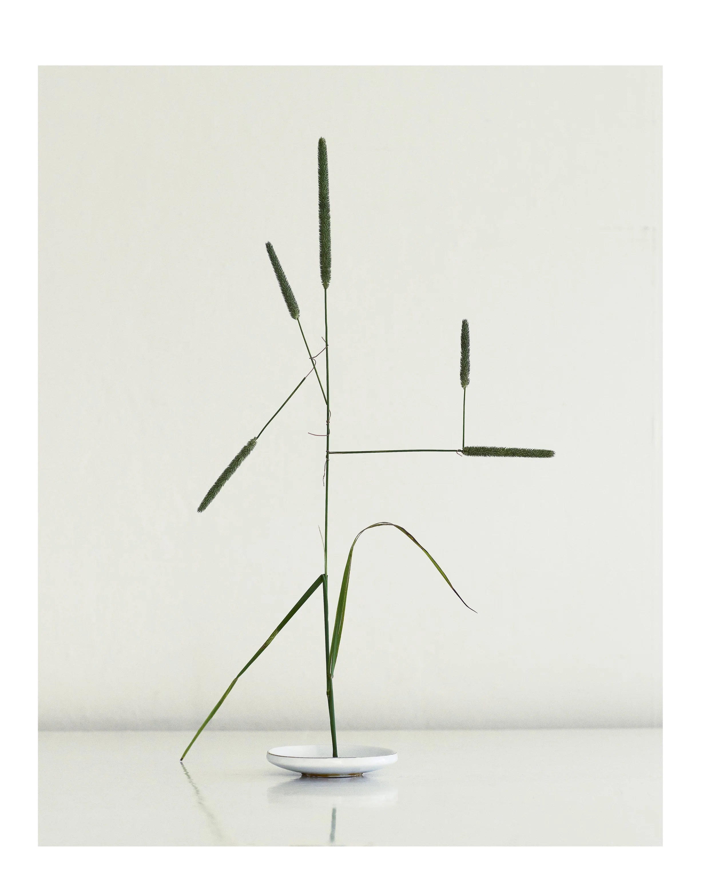 2507 USA Upstate Project 0413.jpg