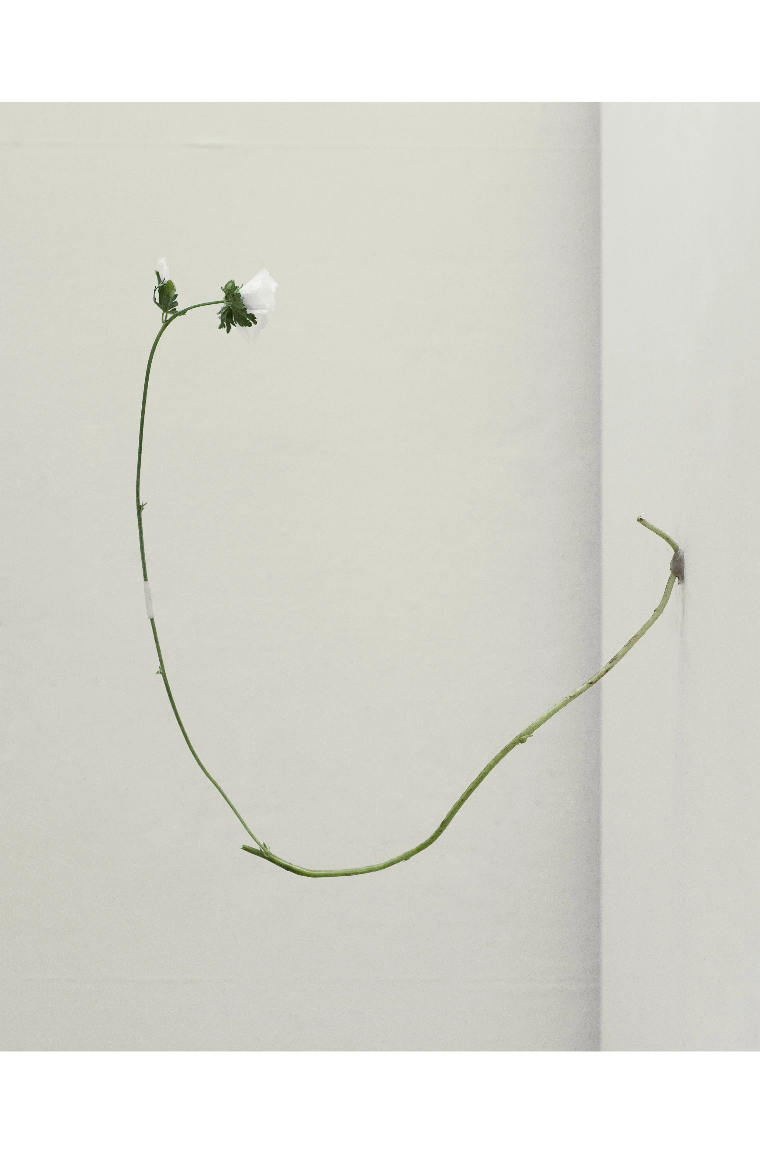 2507 USA Upstate Project 0331.jpg