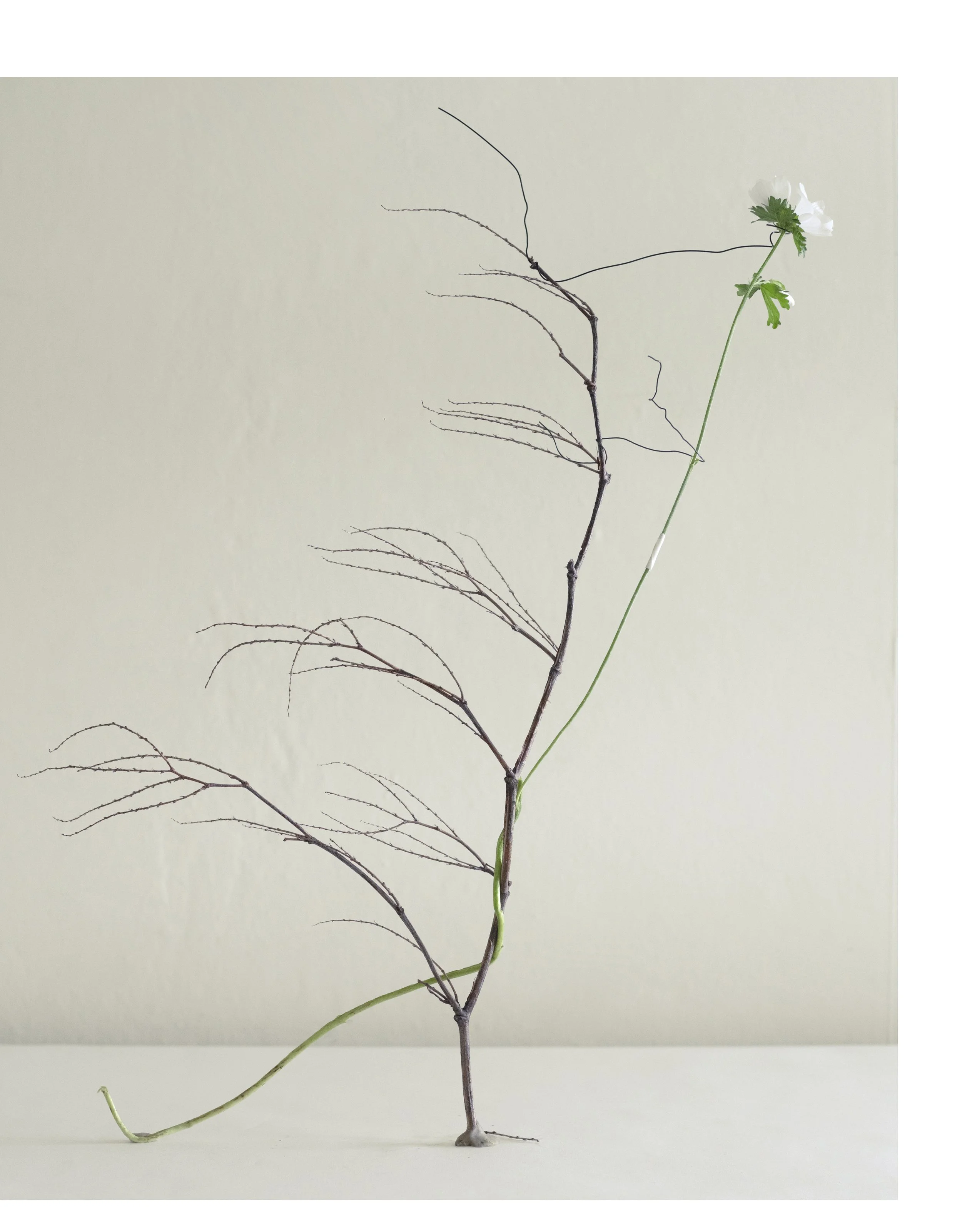 2507 USA Upstate Project 0320.jpg