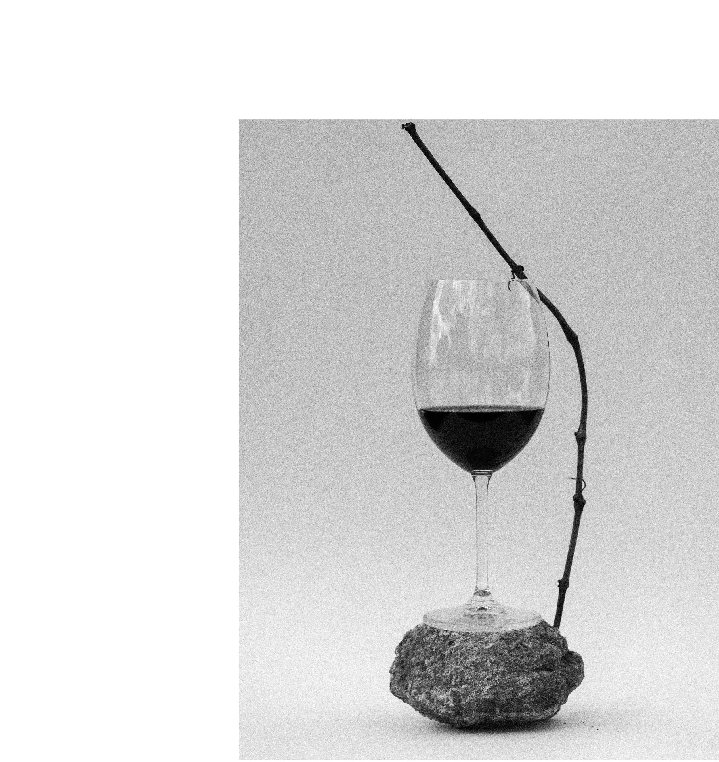 2602 BR SP UIWD Casa 32 0770.JPG