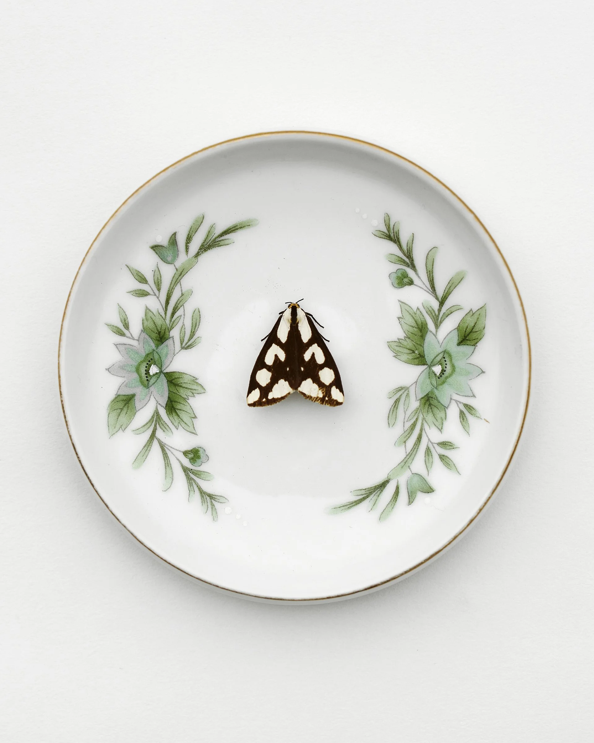 2507 USA NY Upstate Project Bovina 0447.jpg