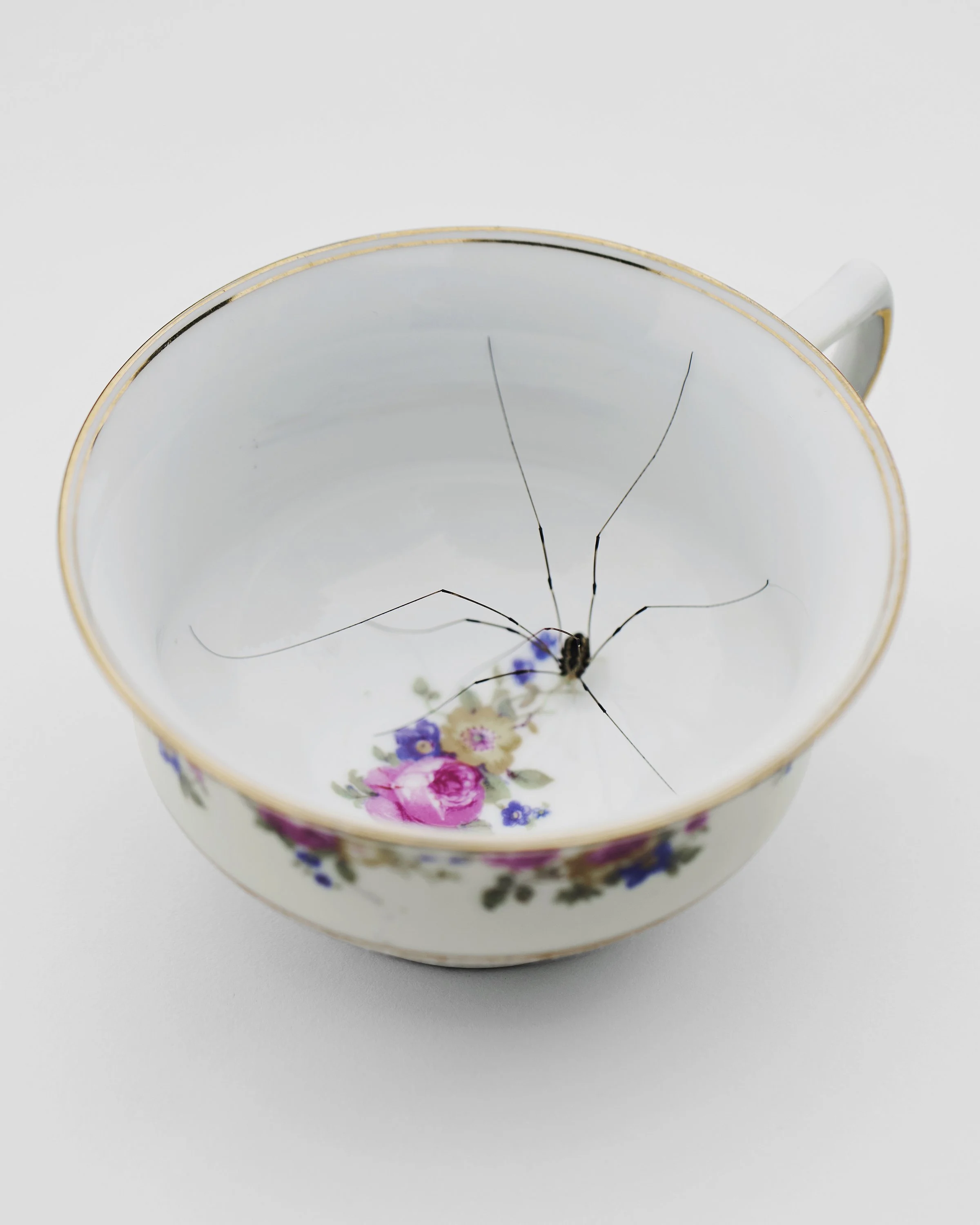 2507 USA NY Upstate Project Bovina 0487.jpg