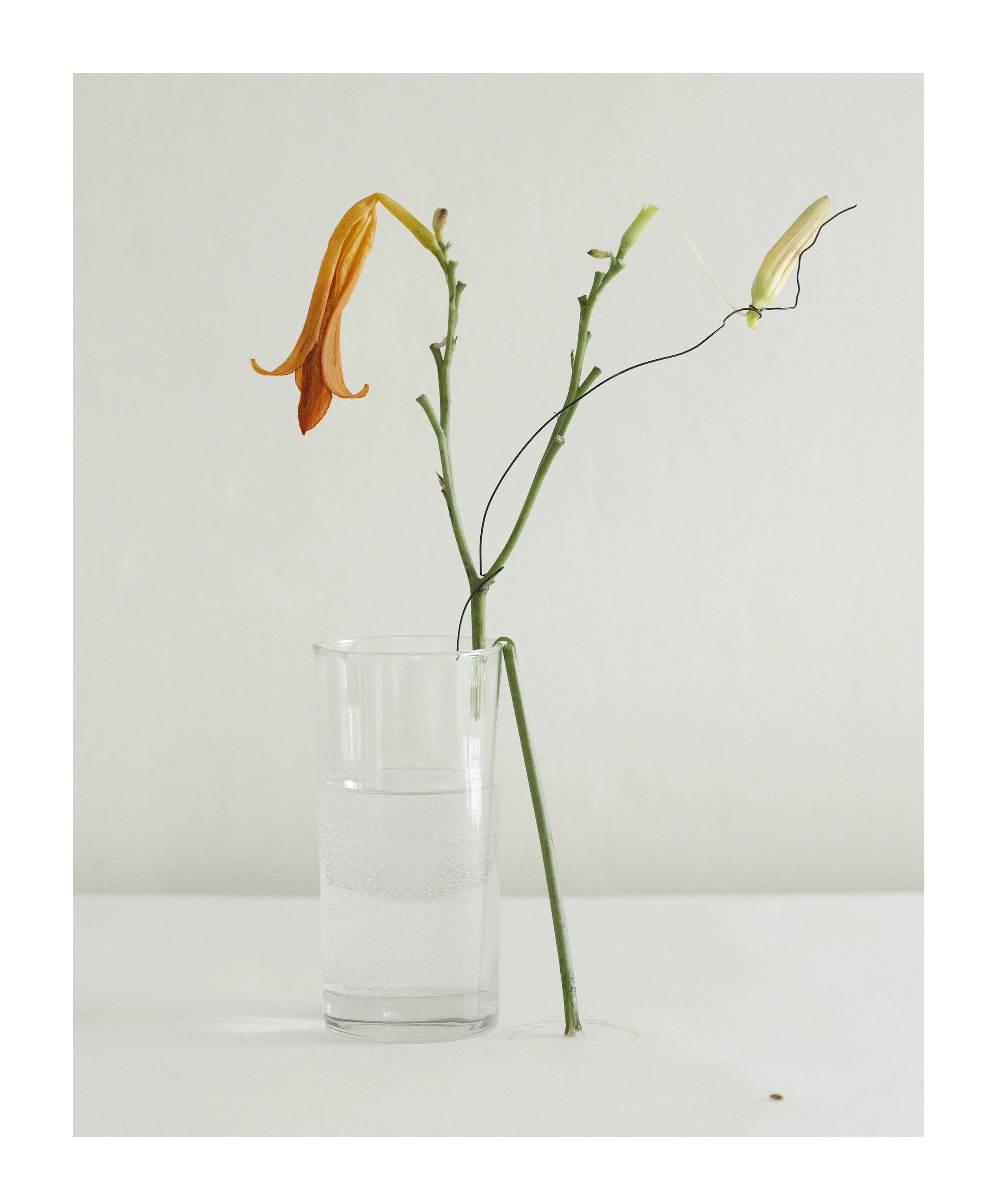 2507 USA Upstate Project 0277.jpg