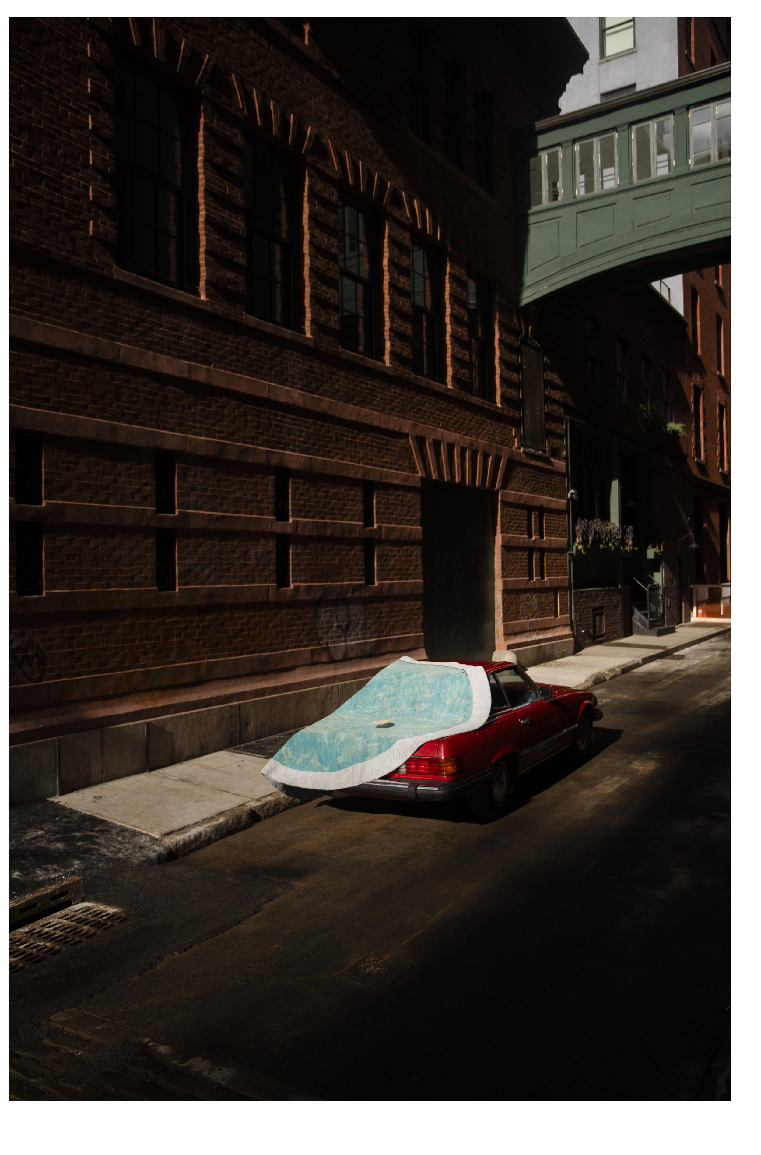 2511_Leandro Viana_NY SAVVY Christopher Farr 0025.jpg