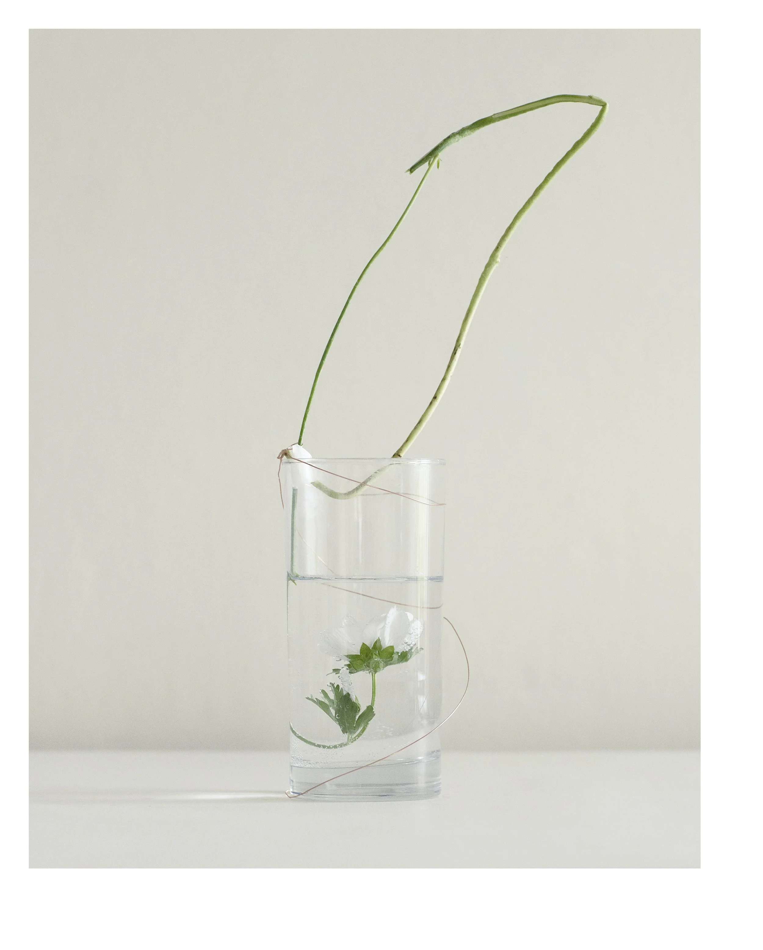 2507 USA Upstate Project 0336.jpg