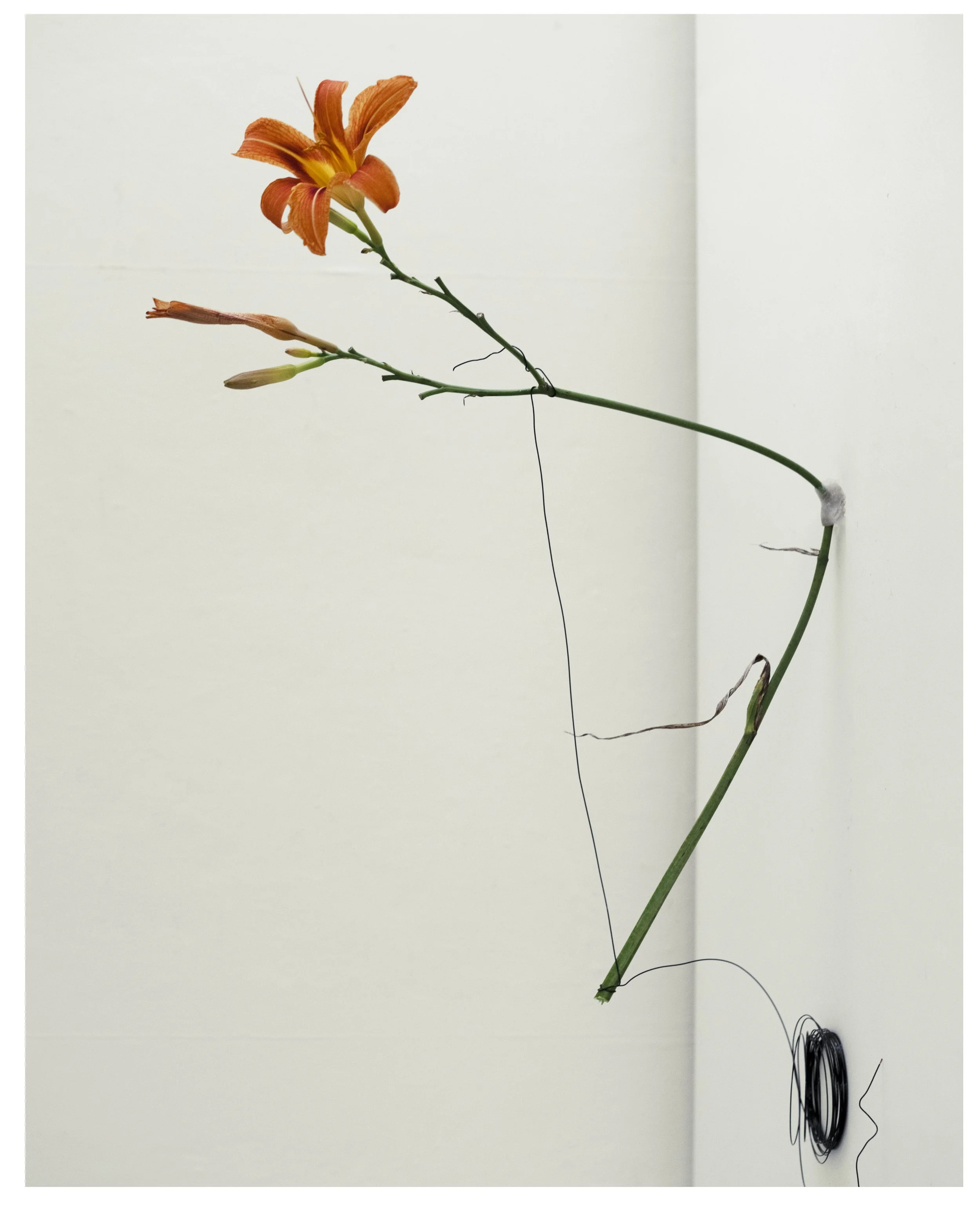 2507 USA NY Upstate Project Bovina 0202_II.jpg