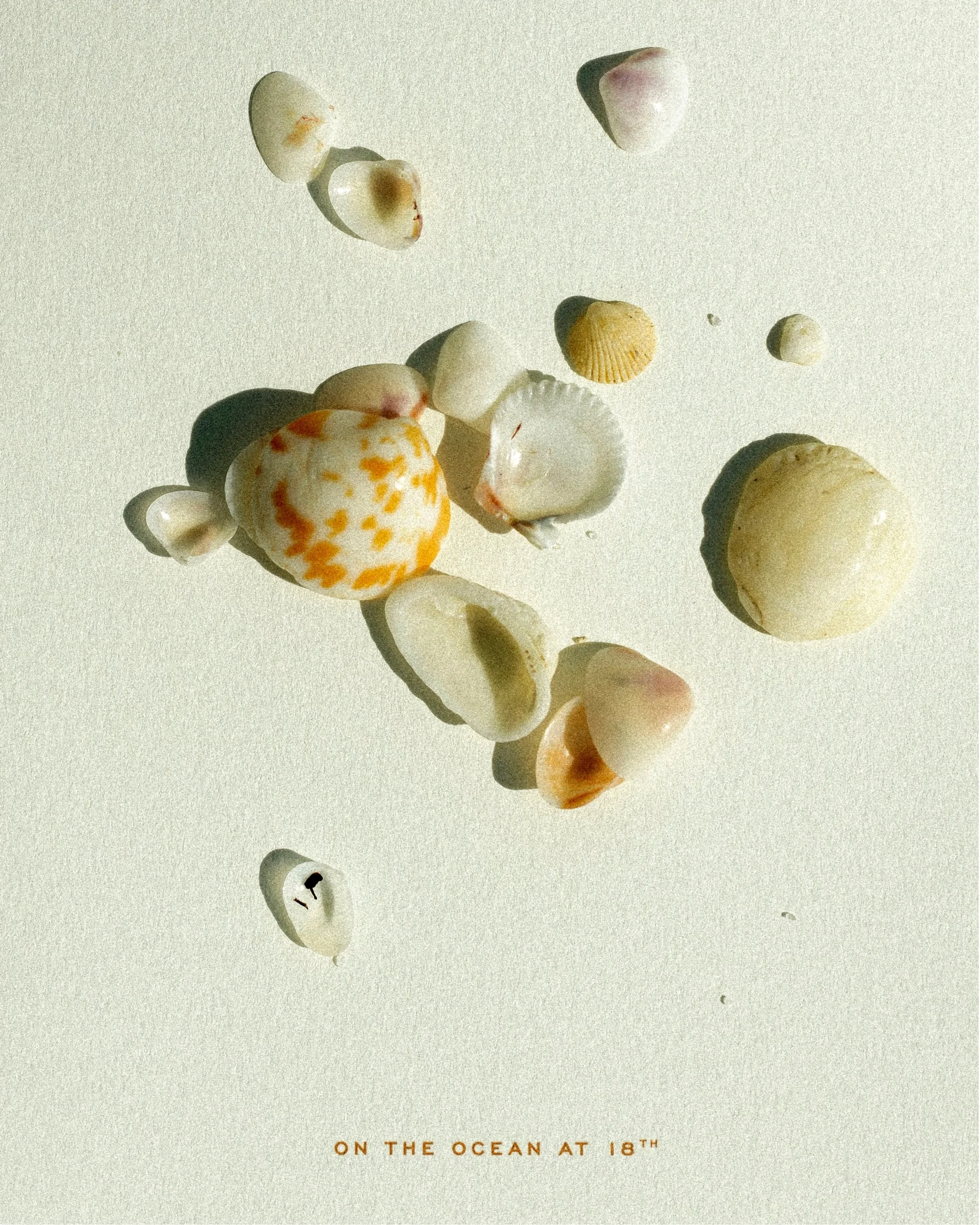 001 001 2511 USA NY SAVVY The Shelborne 2784.jpg