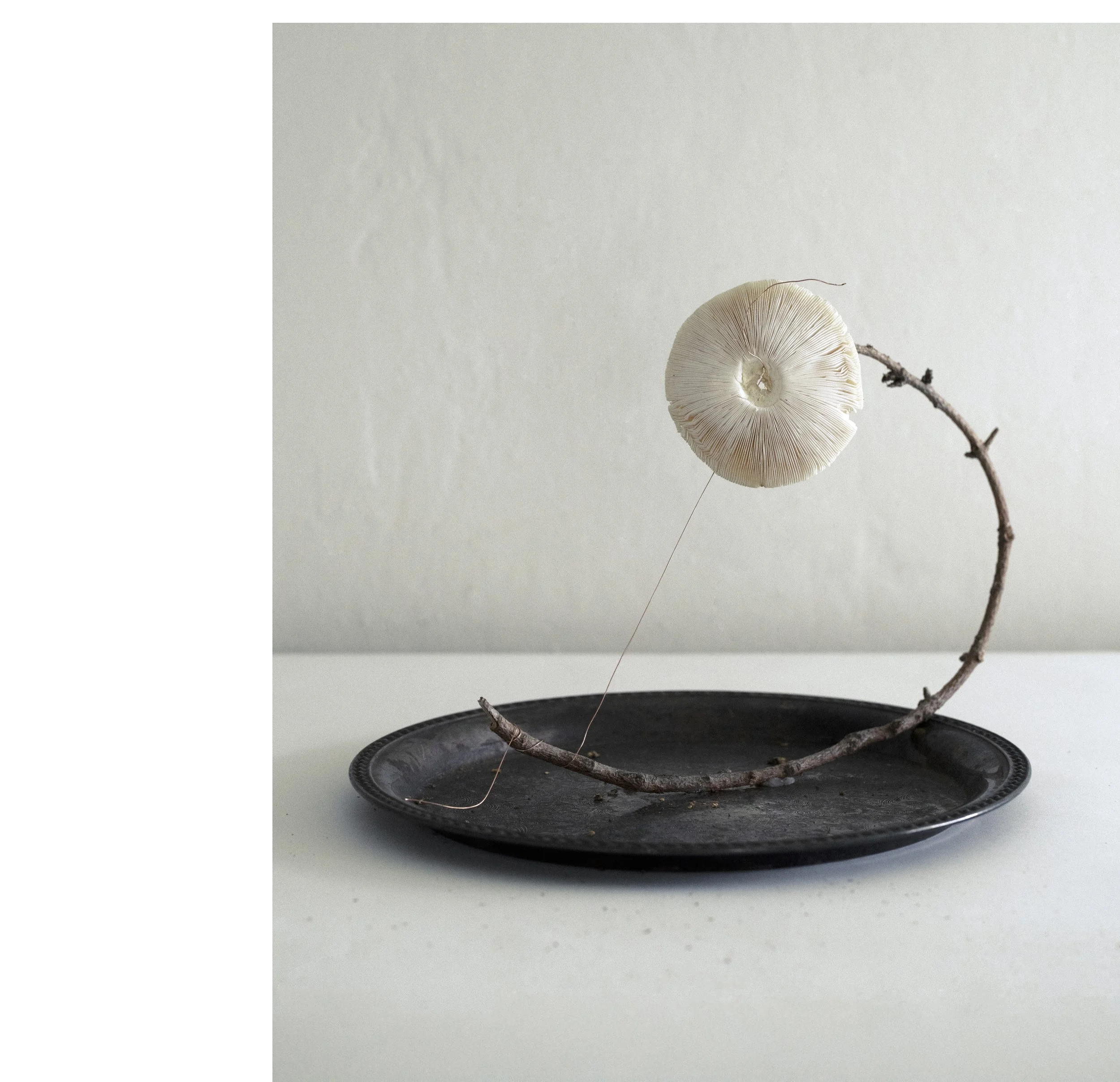 2507 USA NY Upstate Project Bovina 0195_II.jpg