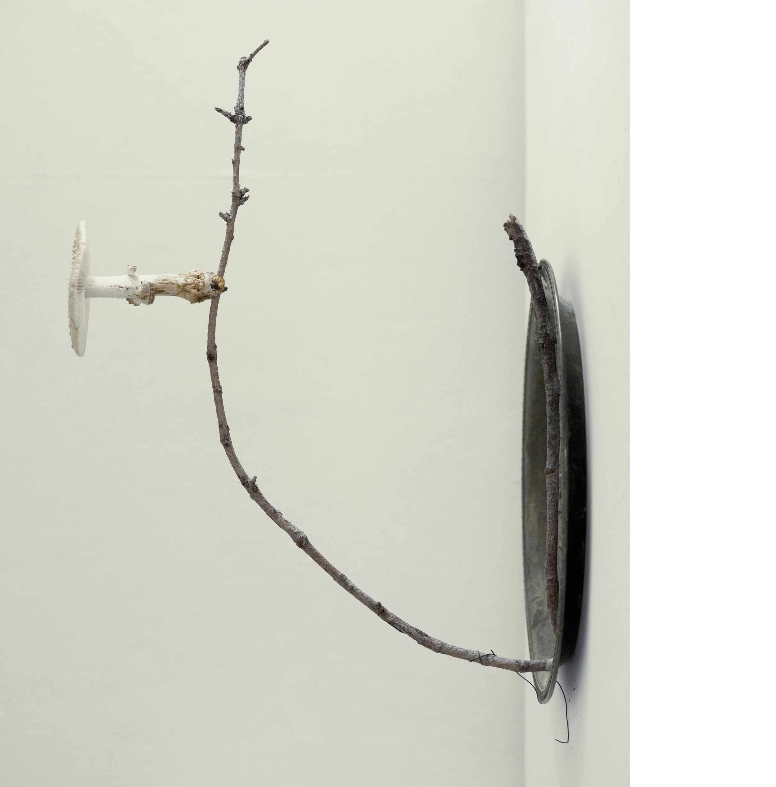 2507 USA NY Upstate Project Bovina 0179_II.jpg