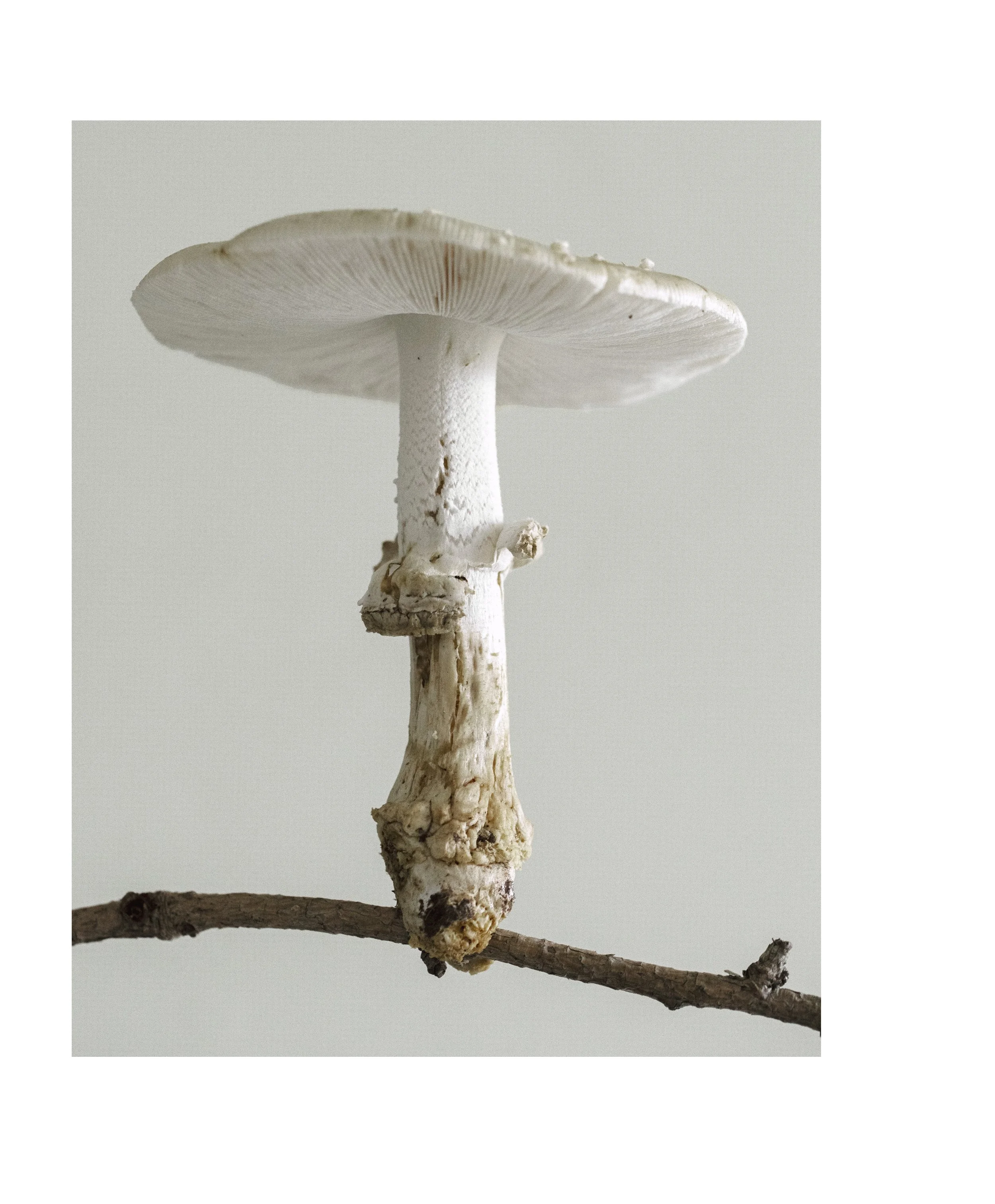 2507 USA NY Upstate Project Bovina 0186.jpg