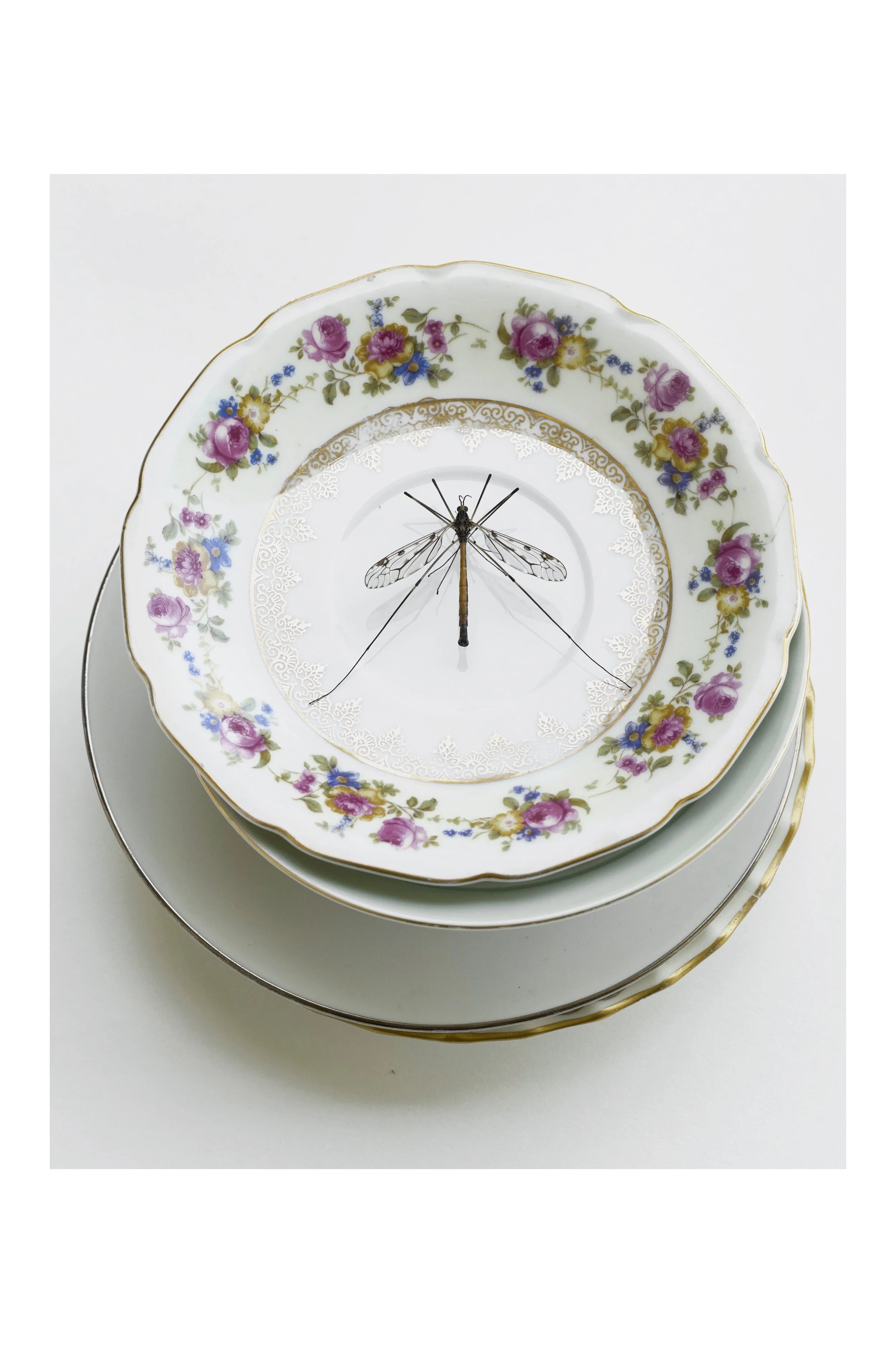 2507 USA Upstate Project 0564.jpg