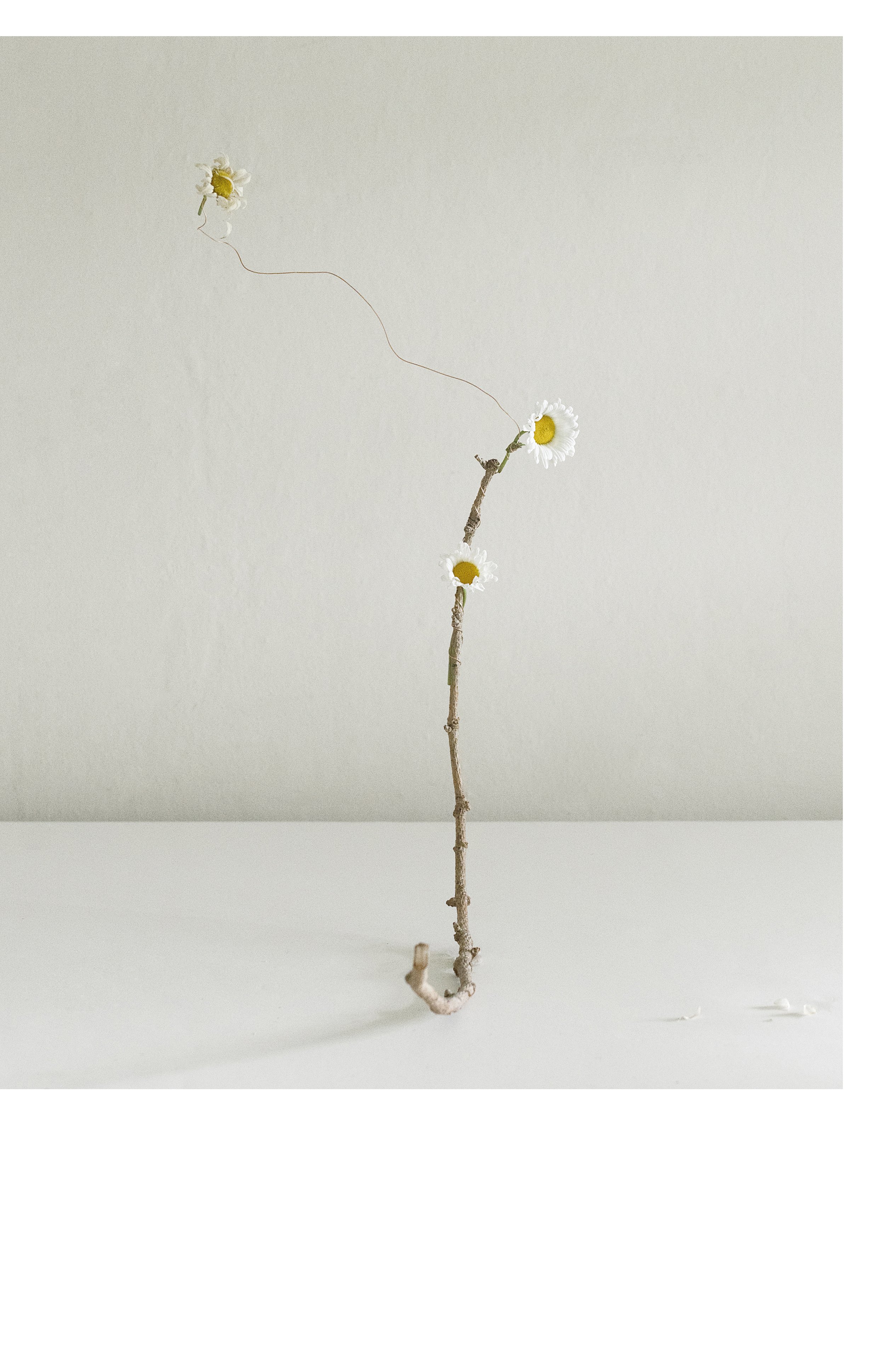 2507 USA Upstate Project 0362.jpg