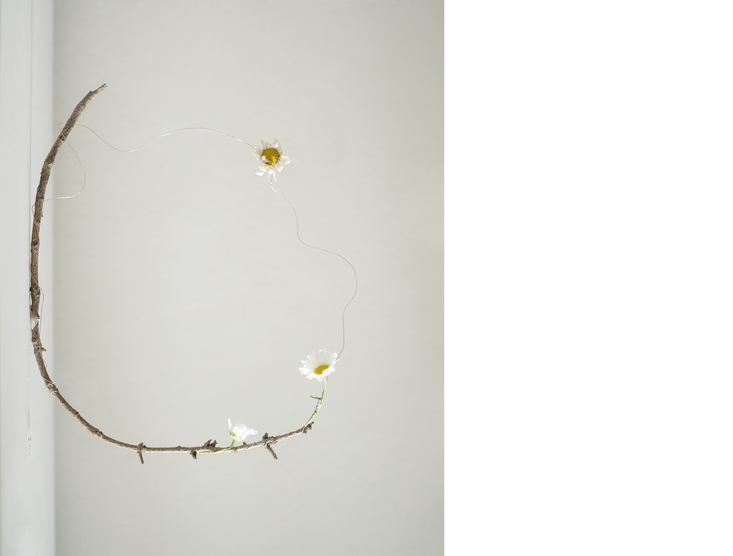 2507 USA Upstate Project 0367.jpg