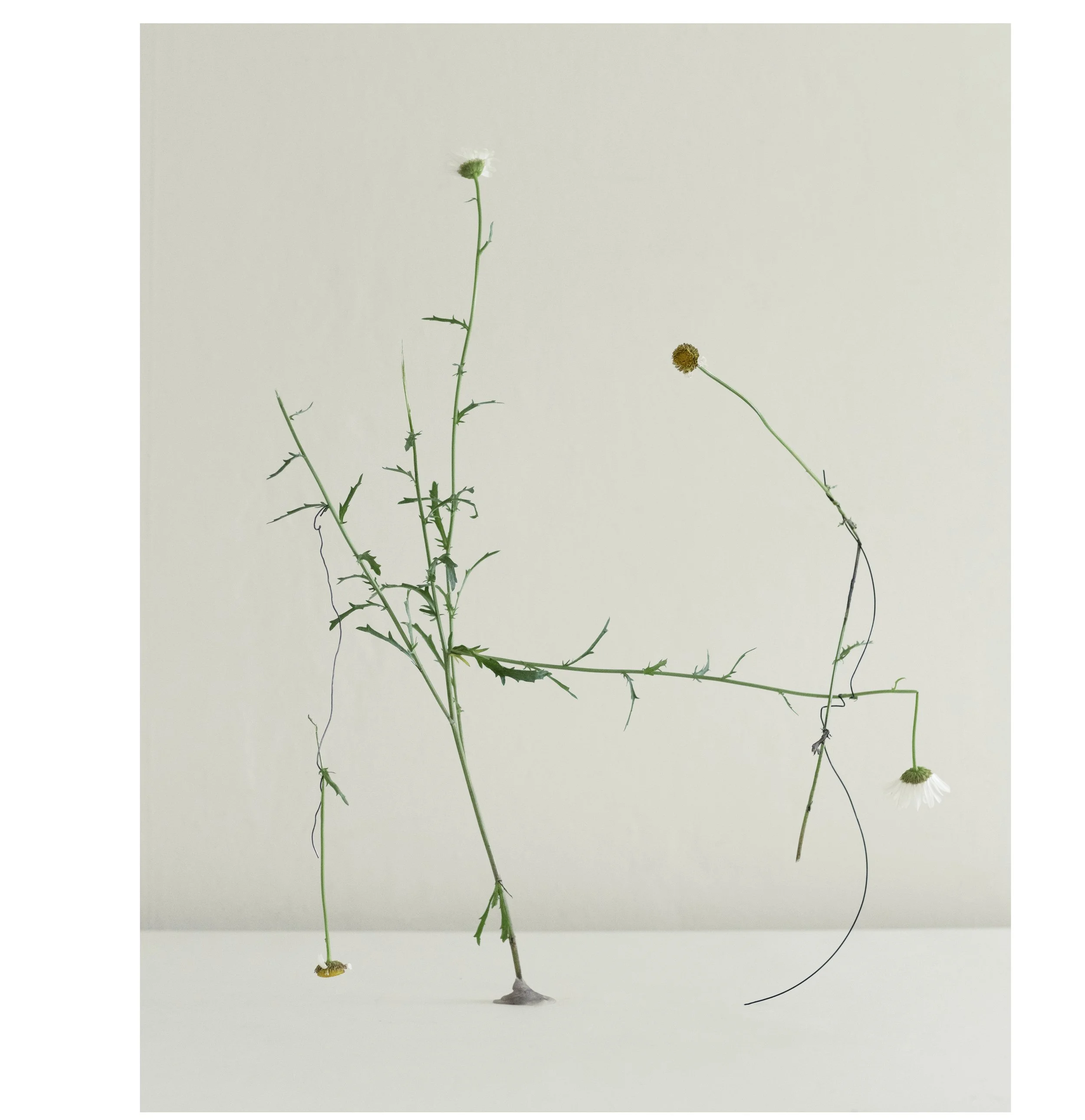 2507 USA Upstate Project 0301.jpg