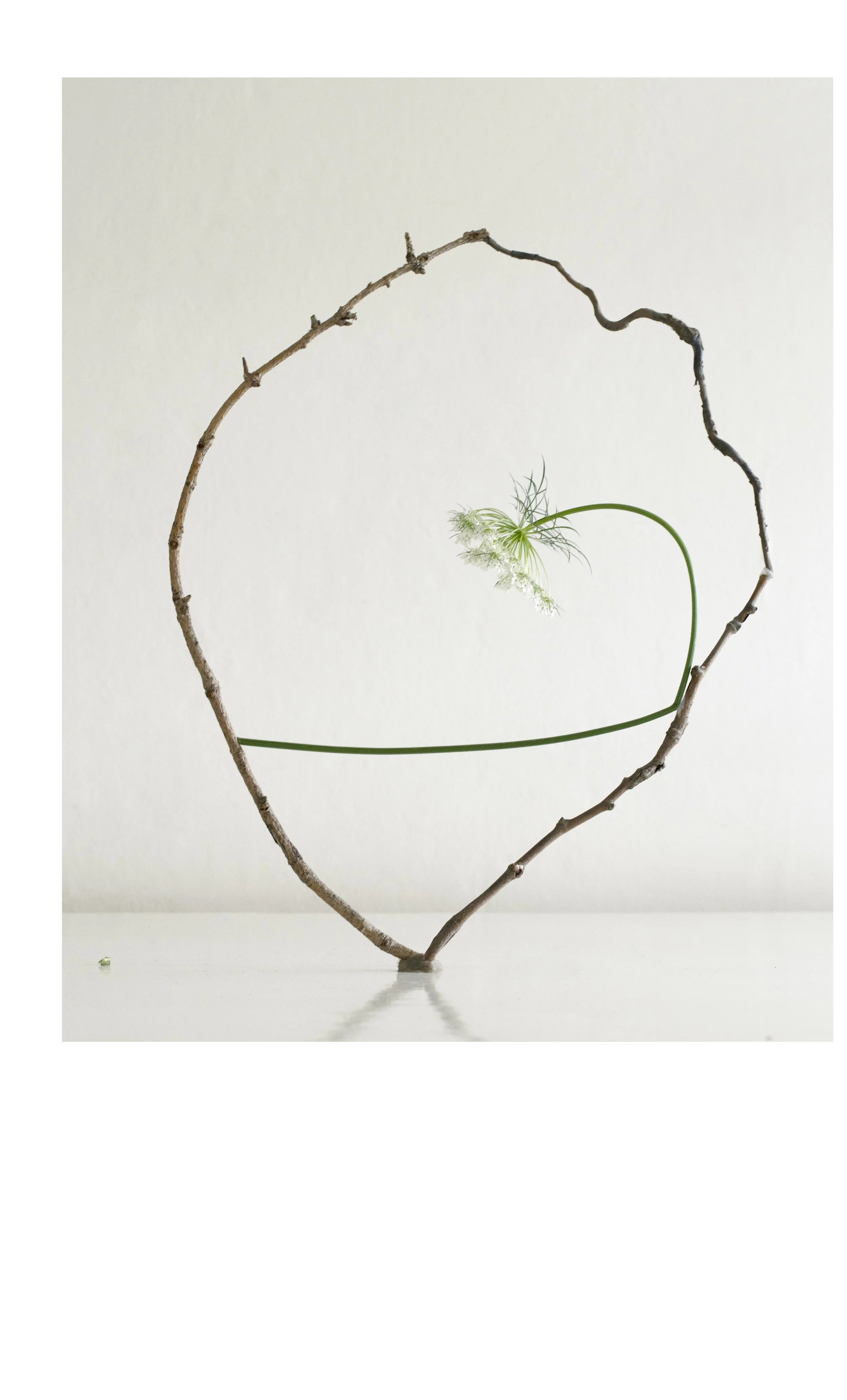 2507 USA Upstate Project 0715.jpg