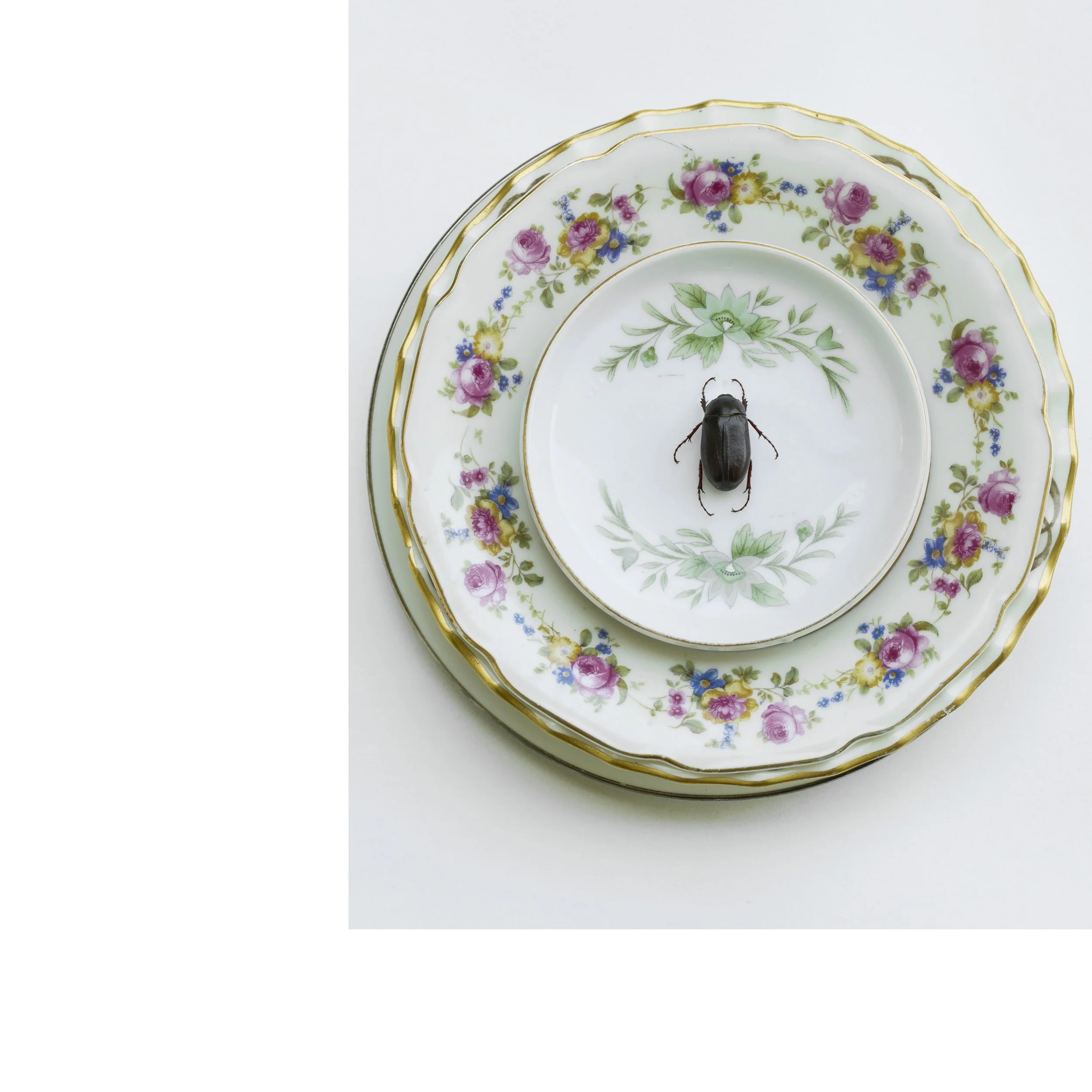 2507 USA Upstate Project 0609.jpg