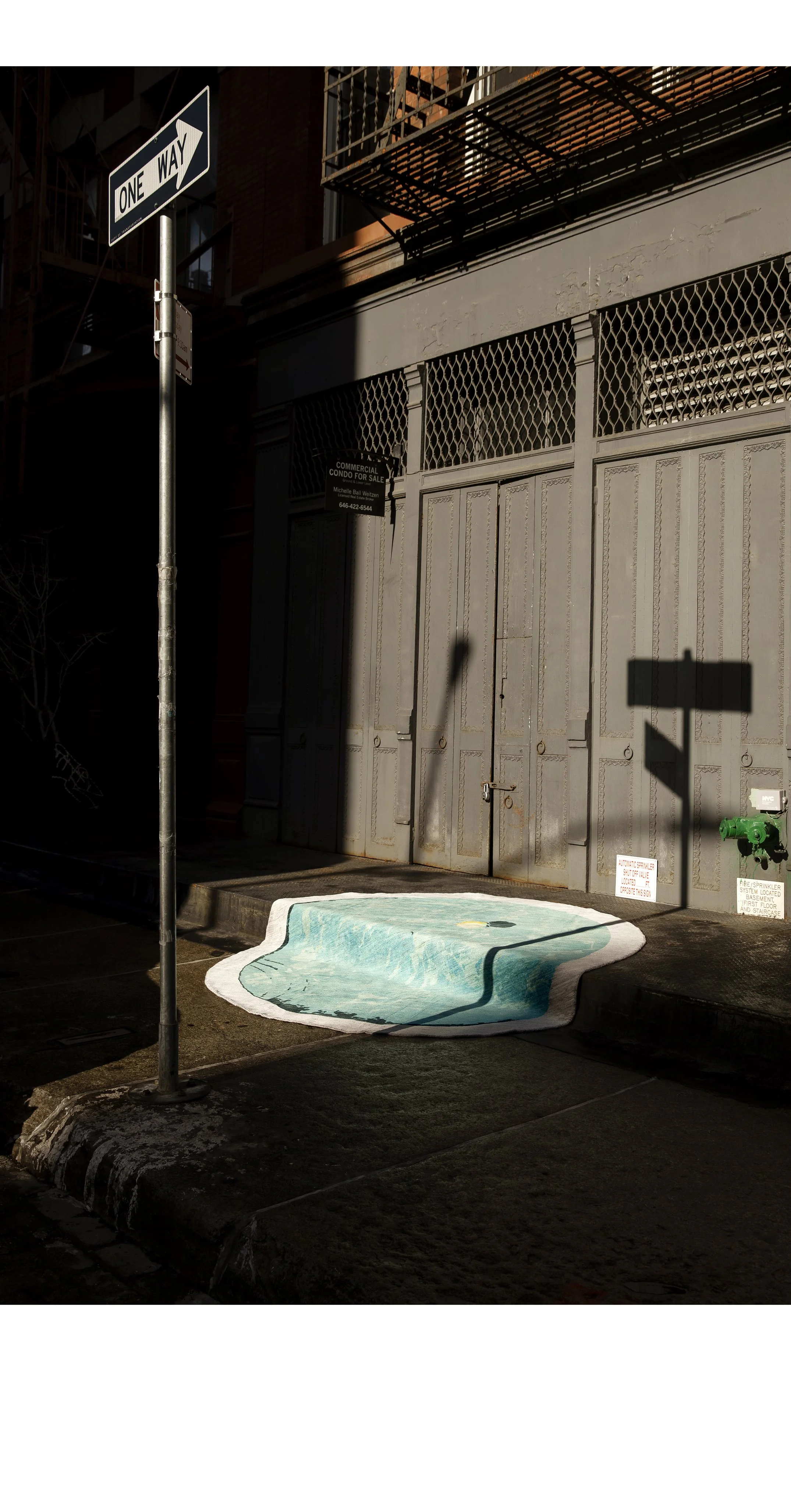 2511_Leandro Viana_NY SAVVY Christopher Farr 0027.jpg